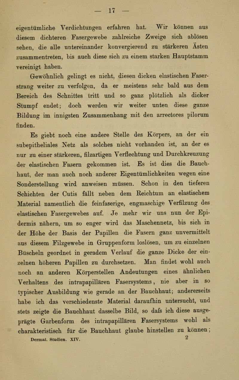 eigentümliche Verdichtungen erfahren hat. Wir können ans diesem dichteren Fasergewebe zahlreiche Zweige sich ablösen sehen, die alle untereinander konvergierend zu stärkeren Asten zusammentreten, bis auch diese sich zu einem starken Hauptstamm vereinigt haben. Gewöhnlich gelingt es nicht, diesen dicken elastischen Faser- strang weiter zu verfolgen, da er meistens sehr bald aus dem Bereich des Schnittes tritt und so ganz plötzlich als dicker Stumpf endet; doch werden wir weiter unten diese ganze Bildung im innigsten Zusammenhang mit den arrectores pilorum finden. Es giebt noch eine andere Stelle des Körpers, an der ein subepitheliales Netz als solches nicht vorhanden ist, an der es nur zu einer stärkeren, filzartigen Verflechtung und Durchkreuzung der elastischen Fasern gekommen ist. Es ist dies die Bauch- haut, der man auch noch anderer Eigentümlichkeiten wegen eine Sonderstellung wird anweisen müssen. Schon in den tieferen Schichten der Cutis fällt neben dem Reichtum an elastischem Material namentlich die feinfaserige, engmaschige Verfilzung des elastischen Fasergewebes auf. Je mehr wir uns nun der Epi- dermis nähern, um so enger wird das Maschennetz, bis sich in der Höhe der Basis der Papillen die Fasern ganz unvermittelt aus diesem Filzgewebe in Gruppenform loslösen, um zu einzelnen Büscheln geordnet in geradem Verlauf die ganze Dicke der ein- zelnen höheren Papillen zu durchsetzen. Man findet wohl auch noch an anderen Körperstellen Andeutungen eines ähnlichen Verhaltens des intrapapillären Fasersystems, nie aber in so typischer Ausbildung wie gerade an der Bauchhaut; andererseits habe ich das verschiedenste Material daraufhin untersucht, und stets zeigte die Bauchhaut dasselbe Bild, so dafs ich diese ausge- prägte Garbenform des intrapapillären Fasersystems wohl als charakteristisch für die Bauchhaut glaube hinstellen zu können; Dermat. Studien. XIV. 2