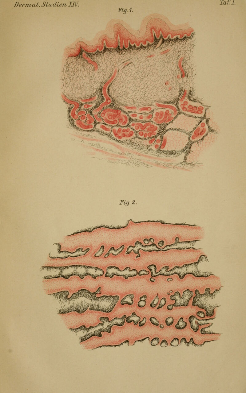 Fig.1. k -€ ''^'^^m mi' {,o* J-^., 'V; ^n&. ,^: f' -^V'^' Fig. 2.
