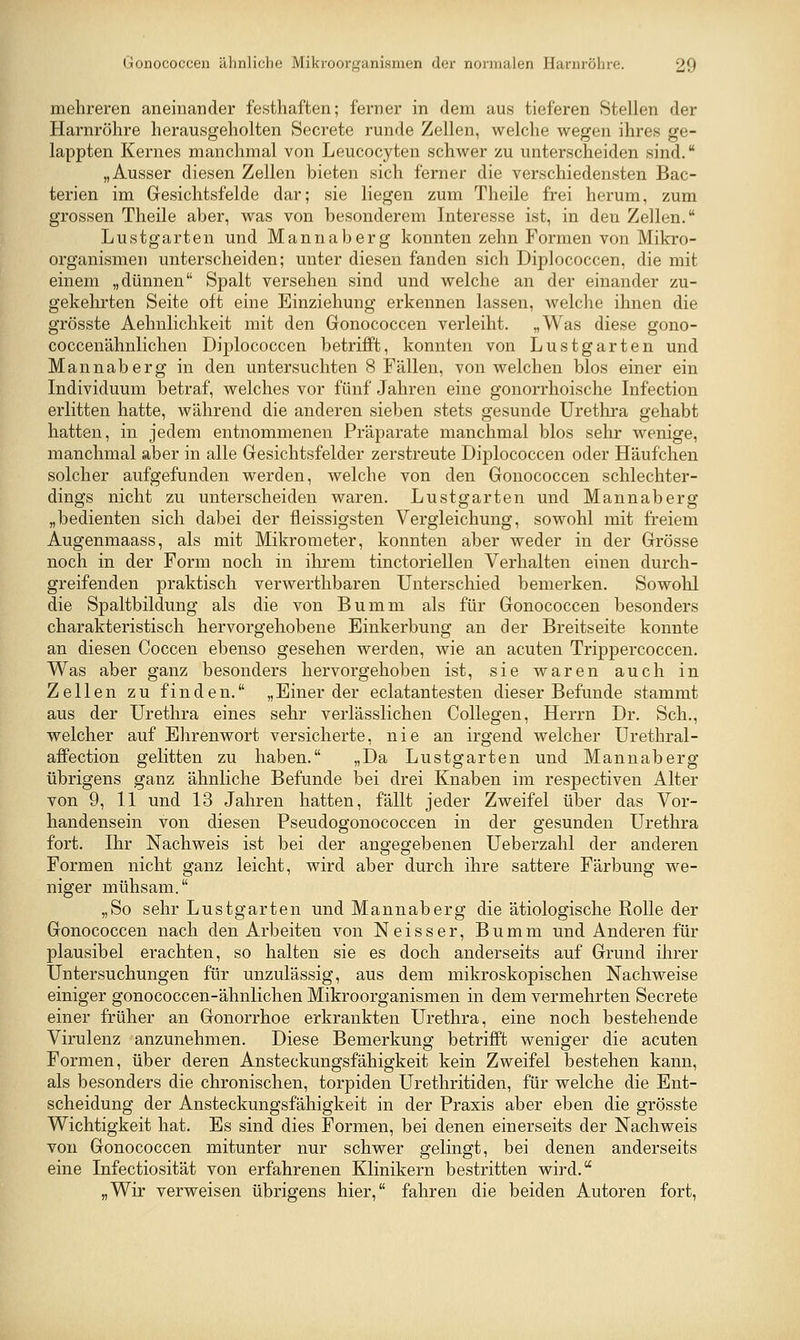 mehreren aneinander festhaf'ten; ferner in dem aus tieferen Stellen der Harnröhre herausgeholten Secrete runde Zellen, welche wegen ihres ge- lappten Kernes manchmal von Leucocyten schwer zu unterscheiden sind. „Ausser diesen Zellen bieten sich ferner die verschiedensten Bac- terien im Gesichtsfelde dar; sie liegen zum Theile frei herum, zum grossen Theile aber, was von besonderem Interesse ist, in den Zellen. Lustgarten und Mannaberg konnten zehn Formen von Mikro- organismen unterscheiden; unter diesen fanden sich Diplococcen, die mit einem „dünnen Spalt versehen sind und welche an der einander zu- gekehrten Seite oft eine Einziehung erkennen lassen, welche ihnen die grösste Aehnlichkeit mit den Gonococcen verleiht. „Was diese gono- coccenähnlichen Dij)lococcen betrifft, konnten von Lustgarten und Mannaberg in den untersuchten 8 Fällen, von welchen blos einer ein Individuum betraf, welches vor fünf Jahren eine gonorrhoische Infection erlitten hatte, während die anderen sieben stets gesunde Urethra gehabt hatten, in jedem entnommenen Präparate manchmal blos sehr wenige, manchmal aber in alle Gesichtsfelder zerstreute Diplococcen oder Häufchen solcher aufgefunden werden, welche von den Gonococcen schlechter- dings nicht zu unterscheiden waren. Lustgarten und Mannaberg „bedienten sich dabei der fleissigsten Vergleichung, sowohl mit freiem Augenmaass, als mit Mikrometer, konnten aber weder in der Grösse noch in der Form noch in ihrem tinctoriellen Verhalten einen durch- greifenden praktisch verwerthbaren Unterschied bemerken. Sowohl die Spaltbildung als die von Bumm als für Gonococcen besonders charakteristisch hervorgehobene Einkerbung an der Breitseite konnte an diesen Coccen ebenso gesehen werden, wie an acuten Trippercoccen. Was aber ganz besonders hervorgehoben ist, sie waren auch in Zellen zu finden. „Einer der eclatantesten dieser Befunde stammt aus der Urethra eines sehr verlässlichen CoUegen, Herrn Dr. Seh., welcher auf Ehrenwort versicherte, nie an irgend welcher Urethral- affection gelitten zu haben. „Da Lustgarten und Mannaberg übrigens ganz ähnliche Befunde bei drei Knaben im respectiven Alter von 9, 11 und 13 Jahren hatten, fällt jeder Zweifel über das Vor- handensein von diesen Pseudogonococcen in der gesunden Urethra fort. Ihr Nachweis ist bei der angegebenen Ueberzahl der anderen Formen nicht ganz leicht, wird aber durch ihre sattere Färbung we- niger mühsam. „So sehr Lustgarten und Mannaberg die ätiologische Rolle der Gonococcen nach den Arbeiten von Neisser, Bumm und Anderen für plausibel erachten, so halten sie es doch anderseits auf Grund ihrer Untersuchungen für unzulässig, aus dem mikroskopischen Nachweise einiger gonococcen-ähnlichen Mikroorganismen in dem vermehrten Secrete einer früher an Gonorrhoe erkrankten Urethra, eine noch bestehende Virulenz anzunehmen. Diese Bemerkung betrifft weniger die acuten Formen, über deren Ansteckungsfähigkeit kein Zweifel bestehen kann, als besonders die chronischen, torpiden Urethritiden, für welche die Ent- scheidung der Ansteckungsfähigkeit in der Praxis aber eben die grösste Wichtigkeit hat. Es sind dies Formen, bei denen einerseits der Nachweis von Gonococcen mitunter nur schwer gelingt, bei denen anderseits eine Infectiosität von erfahrenen Klinikern bestritten wird. „Wir verweisen übrigens hier, fahren die beiden Autoren fort,