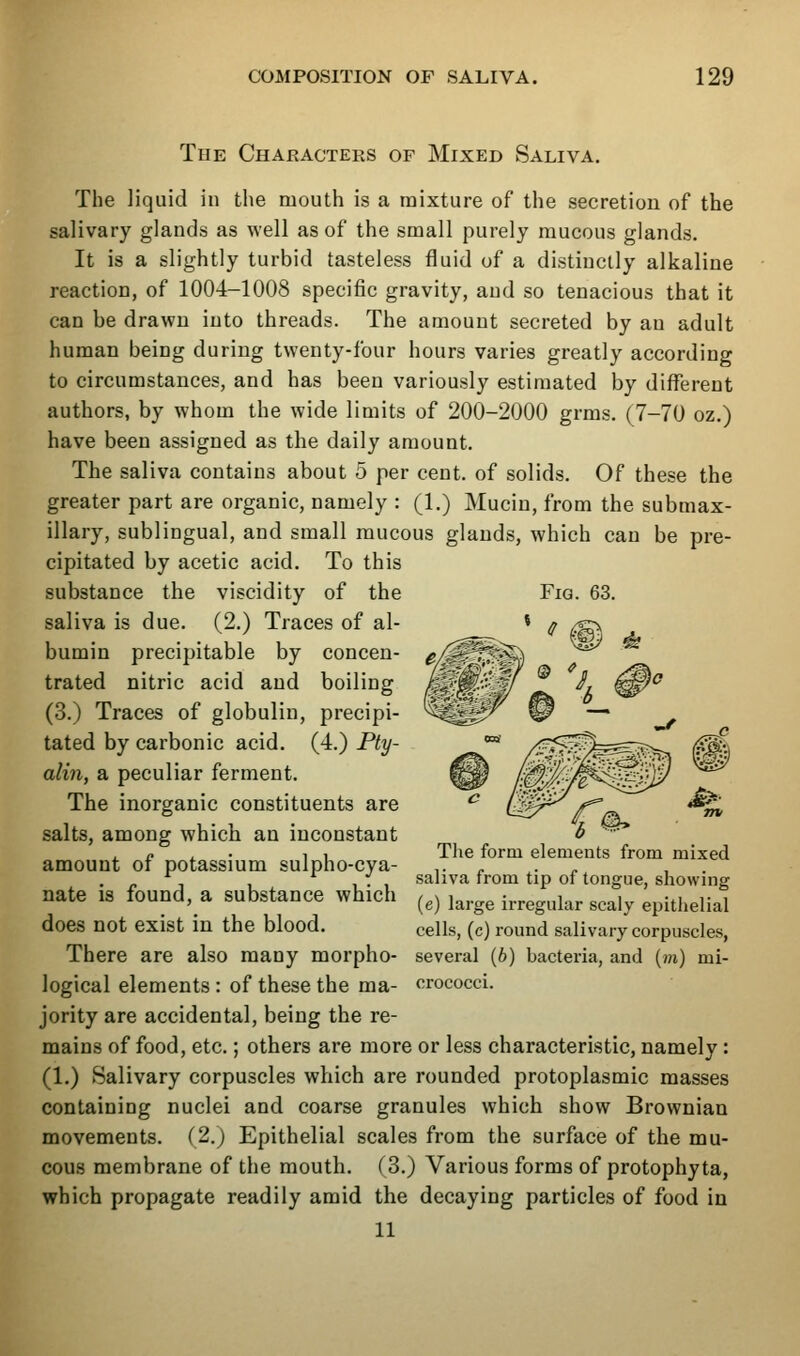 Fig The Characters of Mixed Saliva, The liquid in the mouth is a mixture of the secretion of the salivary glands as well as of the small purely mucous glands. It is a slightly turbid tasteless fluid of a distinctly alkaline reaction, of 1004-1008 specific gravity, and so tenacious that it can be drawn into threads. The amount secreted by an adult human being during twenty-four hours varies greatly according to circumstances, and has been variously estimated by different authors, by whom the wide limits of 200-2000 grms. (7-70 oz.) have been assigned as the daily amount. The saliva contains about 5 per cent, of solids. Of these the greater part are organic, namely : (1.) Mucin, from the submax- illary, sublingual, and small mucous glands, which can be pre- cipitated by acetic acid. To this substance the viscidity of the saliva is due. (2.) Traces of al- bumin precipitable by concen- trated nitric acid and boiling (3.) Traces of globulin, precipi- tated by carbonic acid. (4.) Pty- alin, a peculiar ferment. The inorganic constituents are salts, among which an inconstant amount of potassium sulpho-cya- nate is found, a substance which does not exist in the blood. There are also many morpho- logical elements : of these the ma- jority are accidental, being the re- mains of food, etc.; others are more or less characteristic, namely: (1.) Salivary corpuscles which are rounded protoplasmic masses containing nuclei and coarse granules which show Brownian movements. (2.) Epithelial scales from the surface of the mu- cous membrane of the mouth. (3.) Various forms of protophyta, which propagate readily amid the decaying particles of food in 11 Tlie form elements from mixed saliva from tip of tongue, showing (e) large irregular scaly epithelial cells, (c) round salivary corpuscles, several {b) bacteria, and (hi) mi- crococci.