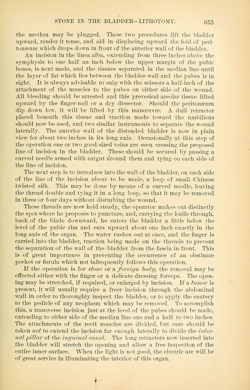 the urethra may be plugged. These two procedures lift the bladder upward, render it tense, and aid in displacing upward the fold of peii- tonfeum which drops down in front of the anterior wall of the bladder. An incision in the linea alba, extending from three inches above the symphysis to one half an inch below the upper margin of the pubic bones, is next made, and the tissues separated in the median line until the layer of fat which lies between the bladder-wall and the pubes is in sight. It is always advisable to snip with the scissors a half-inch of the attachment of the muscles to the pubes on either side of the wound. All bleeding should be arrested and this prevesical areolar tissue lifted upward by the finger-nail or a dry dissector. Should the peritonasum dip down low, it will be lifted by this manoeuvre. A dull retractor placed beneath this tissue and traction made toward the umbilicus should now be used, and two similar instruments to separate the wound laterally. The anterior wall of the distended bladder is now in plain view for about two inches in its long axis. Occasionally at this step of the operation one or two good-sized veins are seen crossing the proposed line of incision in the bladder. These should be secured by passing a curved needle armed with catgut a'round them and tying on each side of the line of incision. The next step is to introduce into the wall of the bladder, on each side of the line of the incision about to be made, a loop of small Chinese twisted silk. This may be done by means of a curved needle, leaving the thread double and tying it in a long loof), so that it maj' be removed in three or four days without disturbing the wound. These threads are now held steady, the operator makes out distinctly the spot where he proposes to puncture, and, carrying the knife through, back of the blade downward, he enters the bladder a little below the level of the pubic rim and cuts upward about one inch exactly in the long axis of the organ. The water rushes out at once, and the finger is carried into the bladder, traction being made on the threads to prevent the separation of the wall of the bladder from the fascia in front. This is of gTeat importance in preventing the occurrence of an obstinate pocket or fistula which not infrequently follows this operation. If the operation is for stone or a foreign iody, the removal may be effected either with the finger or a delicate dressing forceps. The open- ing may be stretched, if required, or enlarged by incision. If a tumor is present, it will usually require a freer incision through the abdominal wall in order to thoroughly inspect the bladder, or to apply the cautery to the pedicle of any neoplasm which may be removed. To accomi^lish this, a transverse incision just at the level of the pubes should be made, extending to either side of the median line one and a half to two inches. The attachments of the recti muscles are divided, but care should be taken not to extend the incision far enough laterally to divide the inter- nal pillar of the ingninal canal. The long retractors now inserted into the bladder will stretch the opening and allow a free inspection of the entire inner surface. When the light is not good, the electric arc will be of great service in illuminating the interior of this organ.