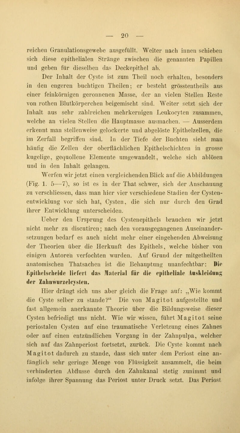 reichen Granulationsgewebe ausgefüllt. Weiter nach innen schieben sich diese epithelialen Stränge zwischen die genannten Papillen und geben für dieselben das Deckepithel ab. Der Inhalt der Cyste ist zum Theil noch erhalten, besonders in den engeren buchtigen Theilen; er besteht grössteutheils aus einer feinkörnigen geronnenen Masse, der an vielen Stellen Reste von rothen Blutkörperchen beigemischt sind. Weiter setzt sich der Inhalt aus sehr zahlreichen mehrkernigen Leukocyten zusammen, welche an vielen Stellen die Hauptmasse ausmachen. — Ausserdem erkennt man stellenweise gelockerte und abgelöste Epithelzellen, die im Zerfall begriffen sind. In der Tiefe der Buchten siebt man häufig die Zellen der oberflächlichen Epithelschichten in grosse kugelige, gequollene Elemente umgewandelt, welche sich ablösen und in den Inhalt gelangen. Werfen wir jetzt einen vergleichenden Blick auf die Abbildungen (Fig. 1. 5—7), so ist es in der That schwer, sich der Anschauung zu verschliessen, dass man hier vier verschiedene Stadien der Cysteu- entwicklung vor sich hat, Cysten, die sich nur durch den Grad ihrer Entwicklung unterscheiden. Ueber den Ursprung des Cystenepithels brauchen wir jetzt nicht mehr zu discutiren; nach den vorausgegangenen Auseinander- setzungen bedarf es auch nicht mehr einer eingehenden Abweisung der Theorien über die Herkunft des Epithels, welche bisher von einigen Autoreh verfochten wurden. Auf Grund der mitgetheilten anatomischen Thatsachen ist die Behauptung unanfechtbar: Die Kpithelscheide liefert das Material für die epitheliale Auskleidung der Zahiiwurzelcysteii. Hier drängt sich uns aber gleich die Frage auf: „Wie kommt die Cyste selber zu stände? Die von Magitot aufgestellte und fast allgemein anerkannte Theorie über die Bildungsweise dieser Cysten befriedigt uns nicht. Wie wir wissen, führt Magitot seine periostalen Cysten auf eine traumatische Verletzung eines Zahnes oder auf einen entzündlichen Vorgang in der Zahnpulpa, welcher sich auf das Zahnperiost fortsetzt, zurück. Die Cyste kommt nach Magitot dadurch zu stände, dass sich unter dem Periost eine an- fänglich sehr geringe Menge von Flüssigkeit ansammelt, die beim verbinderten Abflüsse durch den Zahnkanal stetig zunimmt und infolge ihrer Spannung das Periost unter Druck setzt. Das Periost