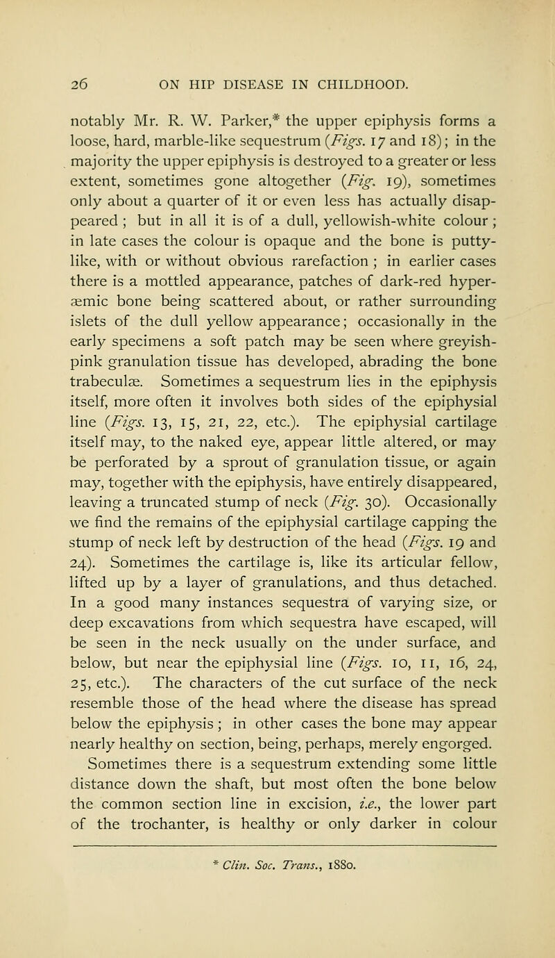 notably Mr. R. W. Parker,* the upper epiphysis forms a loose, hard, marble-like sequestrum {Figs. iy and 18); in the majority the upper epiphysis is destroyed to a greater or less extent, sometimes gone altogether {Fig. 19), sometimes only about a quarter of it or even less has actually disap- peared ; but in all it is of a dull, yellowish-white colour ; in late cases the colour is opaque and the bone is putty- like, with or without obvious rarefaction ; in earlier cases there is a mottled appearance, patches of dark-red hyper- aemic bone being scattered about, or rather surrounding islets of the dull yellow appearance; occasionally in the early specimens a soft patch may be seen where greyish- pink granulation tissue has developed, abrading the bone trabeculae. Sometimes a sequestrum lies in the epiphysis itself, more often it involves both sides of the epiphysial line {Figs. 13, 15, 21, 22, etc.). The epiphysial cartilage itself may, to the naked eye, appear little altered, or may be perforated by a sprout of granulation tissue, or again may, together with the epiphysis, have entirely disappeared, leaving a truncated stump of neck {Fig. 30). Occasionally we find the remains of the epiphysial cartilage capping the stump of neck left by destruction of the head {Figs. 19 and 24). Sometimes the cartilage is, like its articular fellow, lifted up by a layer of granulations, and thus detached. In a good many instances sequestra of varying size, or deep excavations from which sequestra have escaped, will be seen in the neck usually on the under surface, and below, but near the epiphysial line {Figs. 10, II, 16, 24, 25, etc.). The characters of the cut surface of the neck resemble those of the head where the disease has spread below the epiphysis ; in other cases the bone may appear nearly healthy on section, being, perhaps, merely engorged. Sometimes there is a sequestrum extending some little distance down the shaft, but most often the bone below the common section line in excision, i.e., the lower part of the trochanter, is healthy or only darker in colour * Clin. Soc. Trans., 1S80.