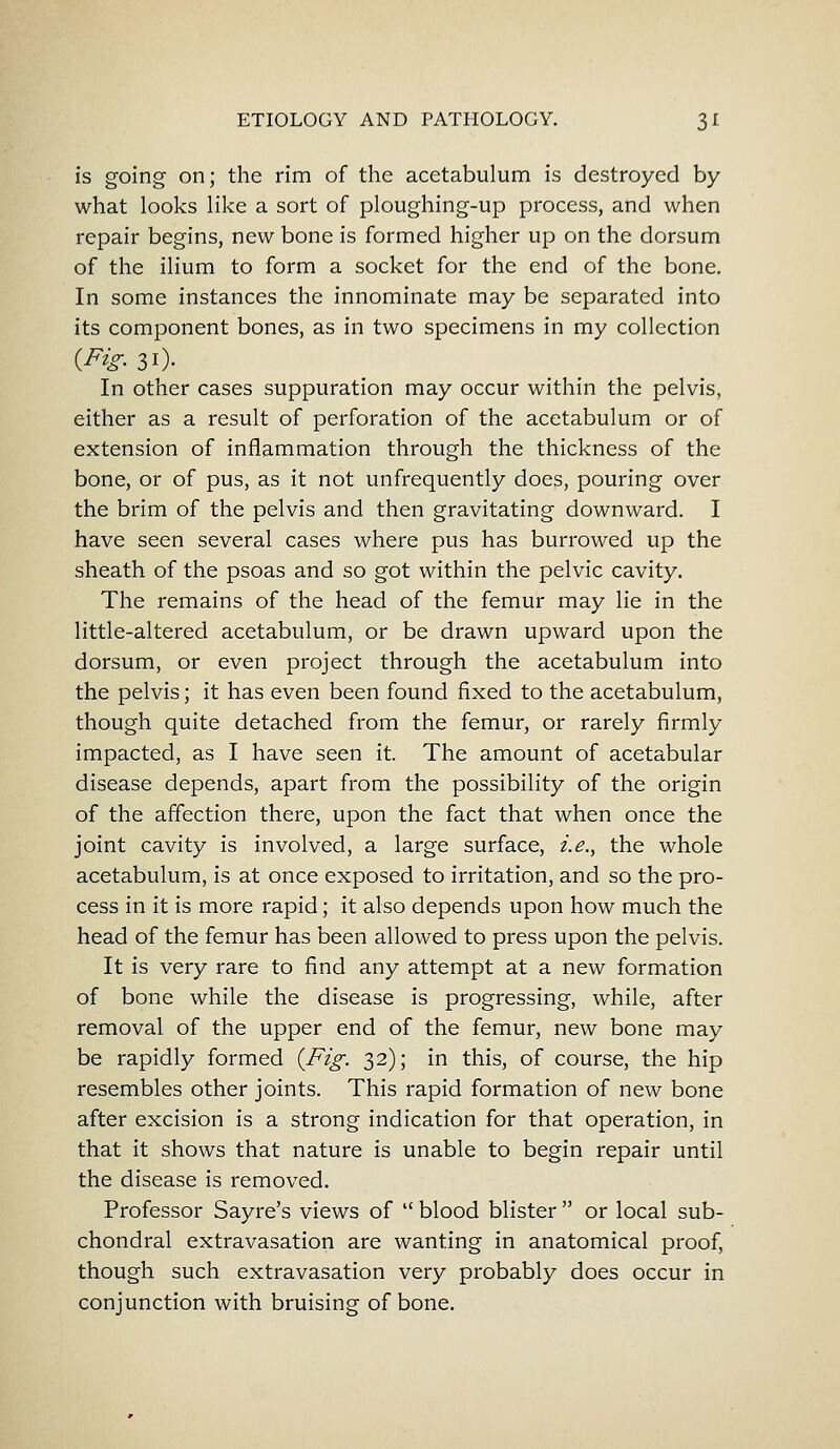 is going on; the rim of the acetabulum is destroyed by what looks like a sort of ploughing-up process, and when repair begins, new bone is formed higher up on the dorsum of the ilium to form a socket for the end of the bone. In some instances the innominate may be separated into its component bones, as in two specimens in my collection (Fig. 31). In other cases suppuration may occur within the pelvis, either as a result of perforation of the acetabulum or of extension of inflammation through the thickness of the bone, or of pus, as it not unfrequently does, pouring over the brim of the pelvis and then gravitating downward. I have seen several cases where pus has burrowed up the sheath of the psoas and so got within the pelvic cavity. The remains of the head of the femur may lie in the little-altered acetabulum, or be drawn upward upon the dorsum, or even project through the acetabulum into the pelvis; it has even been found fixed to the acetabulum, though quite detached from the femur, or rarely firmly impacted, as I have seen it. The amount of acetabular disease depends, apart from the possibility of the origin of the affection there, upon the fact that when once the joint cavity is involved, a large surface, i.e., the whole acetabulum, is at once exposed to irritation, and so the pro- cess in it is more rapid; it also depends upon how much the head of the femur has been allowed to press upon the pelvis. It is very rare to find any attempt at a new formation of bone while the disease is progressing, while, after removal of the upper end of the femur, new bone may- be rapidly formed {Fig. 32); in this, of course, the hip resembles other joints. This rapid formation of new bone after excision is a strong indication for that operation, in that it shows that nature is unable to begin repair until the disease is removed. Professor Sayre's views of  blood blister  or local sub- chondral extravasation are wanting in anatomical proof, though such extravasation very probably does occur in conjunction with bruising of bone.