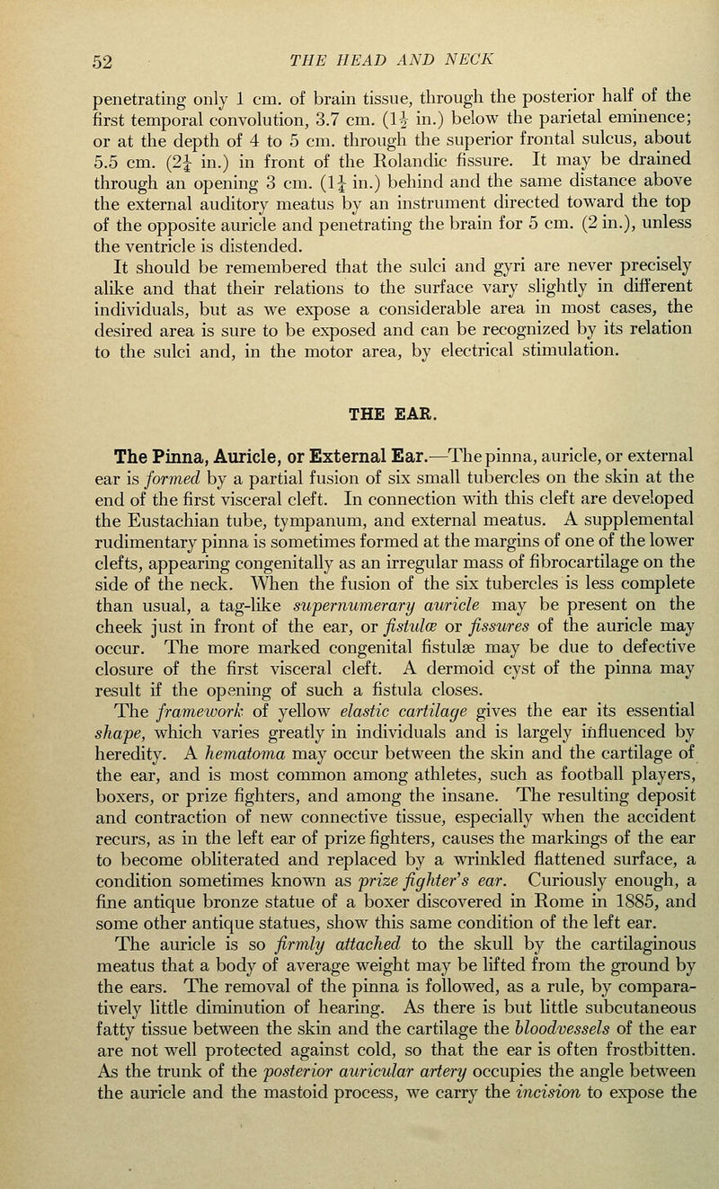 penetrating only 1 cm. of brain tissue, through the posterior half of the first temporal convolution, 3.7 cm. (1§ in.) below the parietal eminence; or at the depth of 4 to 5 cm. through the superior frontal sulcus, about 5.5 cm. (2| in.) in front of the Rolandie fissure. It may be drained through an opening 3 cm. (1J in.) behind and the same distance above the external auditory meatus by an instrument directed toward the top of the opposite auricle and penetrating the brain for 5 cm. (2 in.), unless the ventricle is distended. It should be remembered that the sulci and gyri are never precisely alike and that their relations to the surface vary slightly in different individuals, but as we expose a considerable area in most cases, the desired area is sure to be exposed and can be recognized by its relation to the sulci and, in the motor area, by electrical stimulation. THE EAR. The Pinna, Auricle, or External Ear.—The pinna, auricle, or external ear is formed by a partial fusion of six small tubercles on the skin at the end of the first visceral cleft. In connection with this cleft are developed the Eustachian tube, tympanum, and external meatus. A supplemental rudimentary pinna is sometimes formed at the margins of one of the lower clefts, appearing congenitally as an irregular mass of fibrocartilage on the side of the neck. When the fusion of the six tubercles is less complete than usual, a tag-like supernumerary auricle may be present on the cheek just in front of the ear, or fistulce or fissures of the auricle may occur. The more marked congenital fistulse may be due to defective closure of the first visceral cleft. A dermoid cyst of the pinna may result if the opening of such a fistula closes. The framework of yellow elastic cartilage gives the ear its essential shape, which varies greatly in individuals and is largely influenced by heredity. A hematoma may occur between the skin and the cartilage of the ear, and is most common among athletes, such as football players, boxers, or prize fighters, and among the insane. The resulting deposit and contraction of new connective tissue, especially when the accident recurs, as in the left ear of prize fighters, causes the markings of the ear to become obliterated and replaced by a wrinkled flattened surface, a condition sometimes known as prize fighter's ear. Curiously enough, a fine antique bronze statue of a boxer discovered in Rome in 1885, and some other antique statues, show this same condition of the left ear. The auricle is so firmly attached to the skull by the cartilaginous meatus that a body of average weight may be lifted from the ground by the ears. The removal of the pinna is followed, as a rule, by compara- tively little diminution of hearing. As there is but little subcutaneous fatty tissue between the skin and the cartilage the bloodvessels of the ear are not well protected against cold, so that the ear is often frostbitten. As the trunk of the posterior auricular artery occupies the angle between the auricle and the mastoid process, we carry the incision to expose the