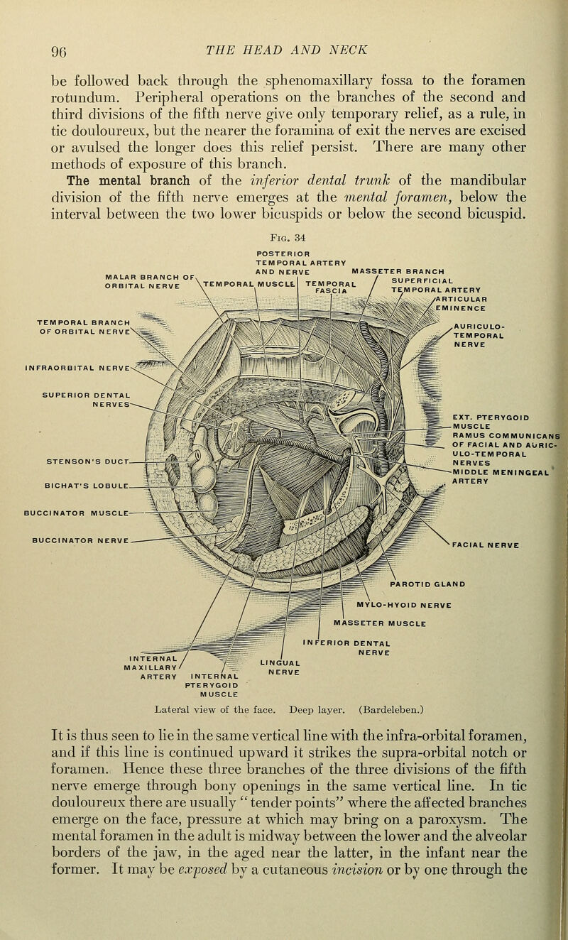 be followed back through the sphenomaxillary fossa to the foramen rotundum. Peripheral operations on the branches of the second and third divisions of the fifth nerve give only temporary relief, as a rule, in tic douloureux, but the nearer the foramina of exit the nerves are excised or avulsed the longer does this relief persist. There are many other methods of exposure of this branch. The mental branch of the inferior dental trunk of the mandibular division of the fifth nerve emerges at the mental foramen, below the interval between the two lower bicuspids or below the second bicuspid. MALAR BRANCH OF ORBITAL NERVE \TEMPORAL MUSCLL | TEMPORAL TEMPORAL BRANCH OF ORBITAL NERVE INFRAORBITAL NERVE SUPERIOR DENTAL NERVES STENSON'S DUCT BICHAT'S LOBULE BUCCINATOR MUSCLE BUCCINATOR NERVE Fig. 34 posterior temporal artery and nerve masseter branch superficial : c te^poralahterv articular INENCE AURICULO- TEMPORAL NERVE EXT. PTERYGOID MUSCLE RAMUS COMMUNICANS OF FACIAL AND AORIC- ULO-TEMPORAL NERVES MIDDLE MENINGEAL I ARTERY FACIAL NERVE INTERNAL MAXILLARY ARTERY 711 INTERNAL PTERYGOID MUSCLE Lateral view of the face. Deep layer. (Bardeleben.) It is thus seen to lie in the same vertical line with the infra-orbital foramen, and if this line is continued upward it strikes the supra-orbital notch or foramen. Hence these three branches of the three divisions of the fifth nerve emerge through bony openings in the same vertical line. In tic douloureux there are usually  tender points where the affected branches emerge on the face, pressure at which may bring on a paroxysm. The mental foramen in the adult is midway between the lower and the alveolar borders of the jaw, in the aged near the latter, in the infant near the former. It may be exposed by a cutaneous incision or by one through the