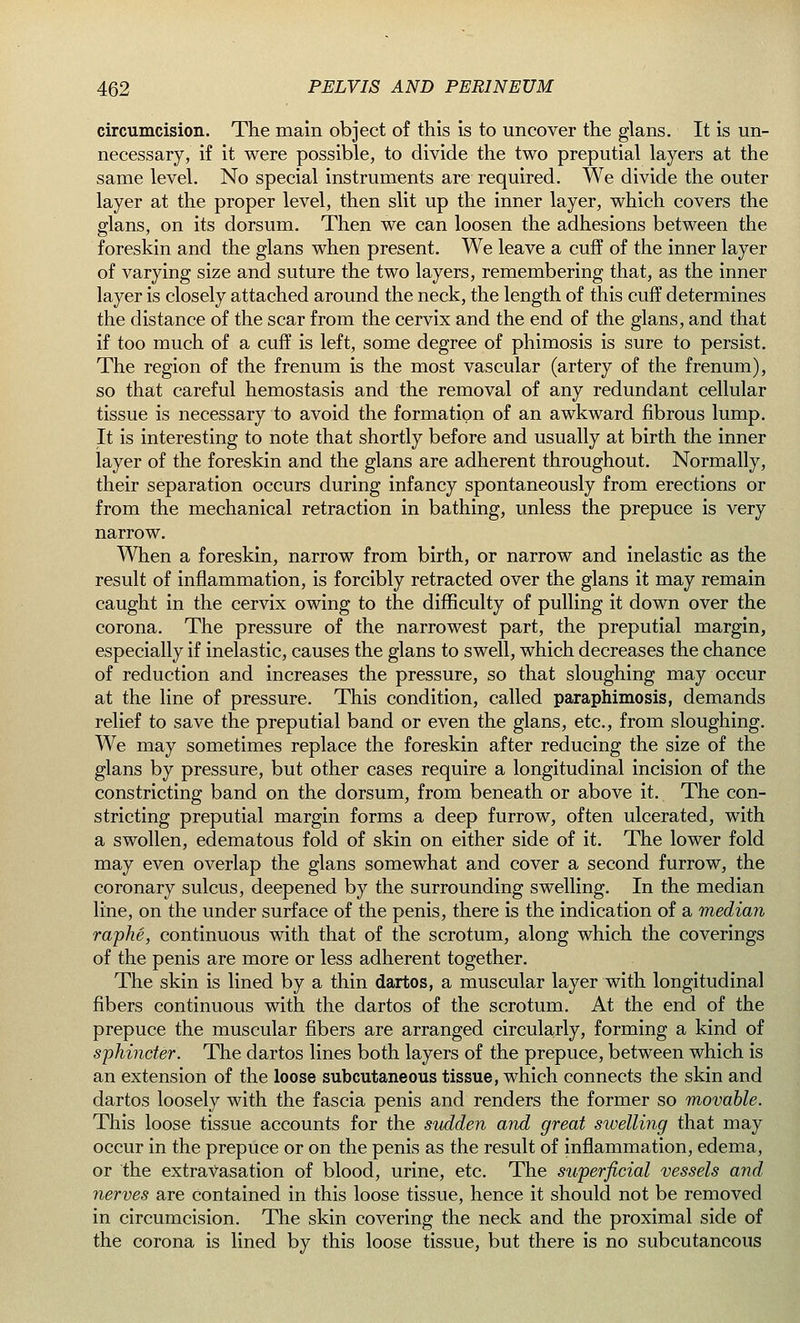 circumcision. The main object of this is to uncover the glans. It is un- necessary, if it were possible, to divide the two preputial layers at the same level. No special instruments are required. We divide the outer layer at the proper level, then slit up the inner layer, which covers the glans, on its dorsum. Then we can loosen the adhesions between the foreskin and the glans when present. We leave a cuff of the inner layer of varying size and suture the two layers, remembering that, as the inner layer is closely attached around the neck, the length of this cuff determines the distance of the scar from the cervix and the end of the glans, and that if too much of a cuff is left, some degree of phimosis is sure to persist. The region of the frenum is the most vascular (artery of the frenum), so that careful hemostasis and the removal of any redundant cellular tissue is necessary to avoid the formation of an awkward fibrous lump. It is interesting to note that shortly before and usually at birth the inner layer of the foreskin and the glans are adherent throughout. Normally, their separation occurs during infancy spontaneously from erections or from the mechanical retraction in bathing, unless the prepuce is very narrow. When a foreskin, narrow from birth, or narrow and inelastic as the result of inflammation, is forcibly retracted over the glans it may remain caught in the cervix owing to the difficulty of pulling it down over the corona. The pressure of the narrowest part, the preputial margin, especially if inelastic, causes the glans to swell, which decreases the chance of reduction and increases the pressure, so that sloughing may occur at the line of pressure. This condition, called paraphimosis, demands relief to save the preputial band or even the glans, etc., from sloughing. We may sometimes replace the foreskin after reducing the size of the glans by pressure, but other cases require a longitudinal incision of the constricting band on the dorsum, from beneath or above it. The con- stricting preputial margin forms a deep furrow, often ulcerated, with a swollen, edematous fold of skin on either side of it. The lower fold may even overlap the glans somewhat and cover a second furrow, the coronary sulcus, deepened by the surrounding swelling. In the median line, on the under surface of the penis, there is the indication of a median raphe, continuous with that of the scrotum, along which the coverings of the penis are more or less adherent together. The skin is lined by a thin dartos, a muscular layer with longitudinal fibers continuous with the dartos of the scrotum. At the end of the prepuce the muscular fibers are arranged circularly, forming a kind of sphincter. The dartos lines both layers of the prepuce, between which is an extension of the loose subcutaneous tissue, which connects the skin and dartos loosely with the fascia penis and renders the former so movable. This loose tissue accounts for the sudden and great swelling that may occur in the prepuce or on the penis as the result of inflammation, edema, or the extravasation of blood, urine, etc. The superficial vessels and nerves are Contained in this loose tissue, hence it should not be removed in circumcision. The skin covering the neck and the proximal side of the corona is lined by this loose tissue, but there is no subcutaneous