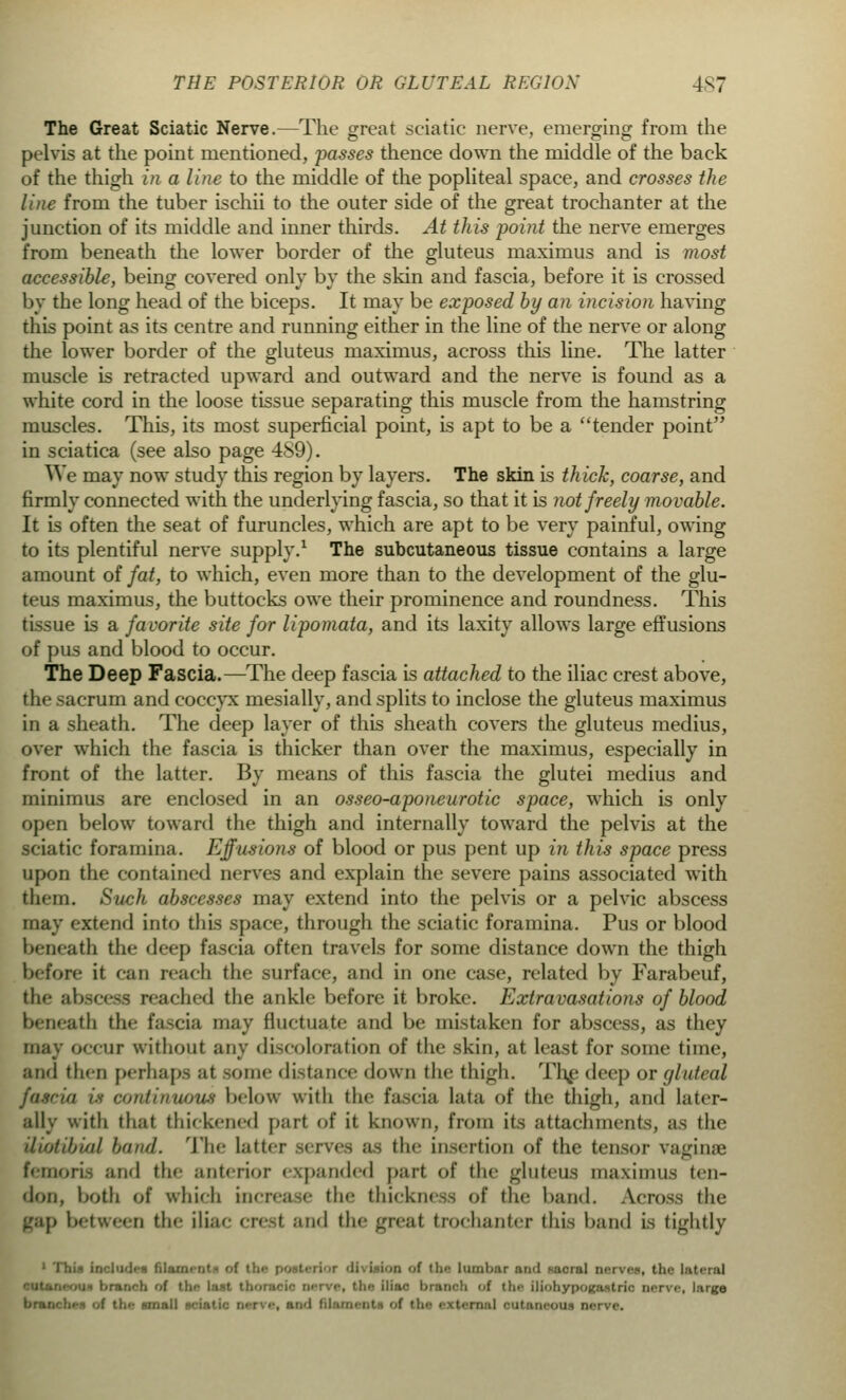 THE POSTERIOR OR GLUTEAL REGION 4S7 The Great Sciatic Nerve.—The great seiatie nerve, emerging from the pelvis at the point mentioned, passes thence down the middle of the back of the thigh in a line to the middle of the popliteal space, and crosses the line from the tuber ischii to the outer side of the great trochanter at the junction of its middle and inner thirds. At this point the nerve emerges from beneath the lower border of the gluteus maximus and is most accessible, being covered only by the skin and fascia, before it is crossed by the long head of the biceps. It may be exposed by an incision having this point as its centre and running either in the line of the nerve or along the lower border of the gluteus maximus, across this line. The latter muscle is retracted upward and outward and the nerve is found as a white cord in the loose tissue separating this muscle from the hamstring muscles. This, its most superficial point, is apt to be a tender point in sciatica (see also page 489). We may now study this region by layers. The skin is thick, coarse, and firmly connected with the underlying fascia, so that it is not freely movable. It is often the seat of furuncles, which are apt to be very painful, owing to its plentiful nerve supply.1 The subcutaneous tissue contains a large amount of fat, to which, even more than to the development of the glu- teus maximus, the buttocks owe their prominence and roundness. This tissue is a favorite site for lipomata, and its laxity allows large effusions of pus and blood to occur. The Deep Fascia.—The deep fascia is attached to the iliac crest above, the sacrum and coccyx mesially, and splits to inclose the gluteus maximus in a sheath. The deep layer of this sheath covers the gluteus medius, over which the fascia is thicker than over the maximus, especially in front of the latter. By means of this fascia the glutei medius and minimus are enclosed in an osseo-aponeurotic space, which is only open below toward the thigh and internally toward the pelvis at the sciatic foramina. Effusions of blood or pus pent up in this space press upon the contained nerves and explain the severe pains associated with them. Such abscesses may extend into the pelvis or a pelvic abscess may extend into this space, through the sciatic foramina. Pus or blood beneath the deep fascia often travels for some distance down the thigh before it <;m reach the surface, and in one case, related by Farabeuf, the abscess reached the ankle before it broke. Extravasations of blood beneath tin- fascia may fluctuate and be mistaken for abscess, as they may occur without any discoloratioD of the skin, at least for some time, and then perhaps at some distance down the thigh. Tli£ deep or gluteal fascia is continuous below with the fascia lata of the thigh, and later- ally with that thickened pari of it known, from its attachments, as the iliotibial band. Tin- latter i the insertion of the tensor vaginae femoris and the anterior expanded pari of the gluteus maximus ten- don, both of which increase the thickness of the band. Across the p between the iliac cresl and the great trochanter this Wand is tightly includee fil ion ol *lii- liinilj.'ir .-mil Micial oervM, the lateral branch >>i the last thoi 'in- iliac brush of the LUohypogaetrk nerve, large brunch' end flliunenl tenia] outaoeoua nerve.