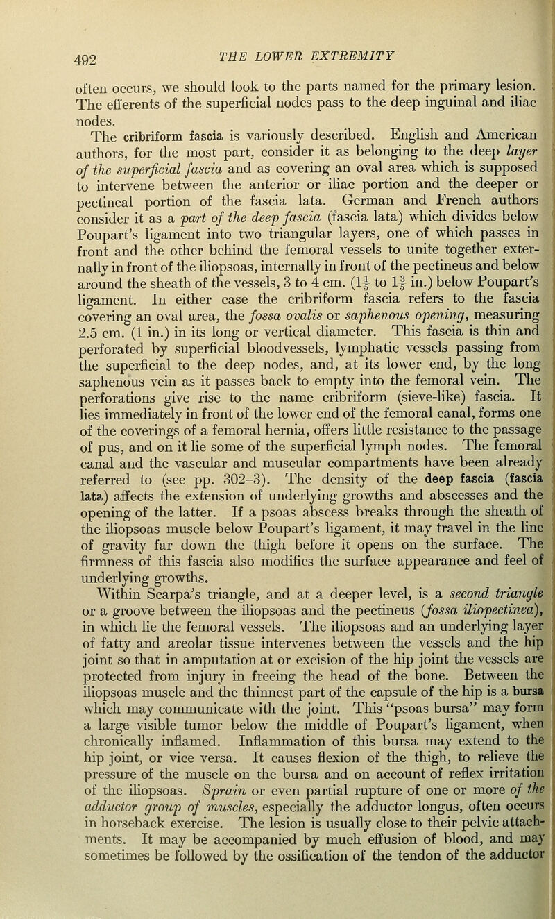 often occurs, we should look to the parts named for the primary lesion. The efferents of the superficial nodes pass to the deep inguinal and iliac nodes. The cribriform fascia is variously described. English and American authors, for the most part, consider it as belonging to the deep layer of the superficial fascia and as covering an oval area which is supposed to intervene between the anterior or iliac portion and the deeper or pectineal portion of the fascia lata. German and French authors consider it as a part of the deep fascia (fascia lata) which divides below Poupart's ligament into two triangular layers, one of which passes in front and the other behind the femoral vessels to unite together exter- nally in front of the iliopsoas, internally in front of the pectineus and below around the sheath of the vessels, 3 to 4 cm. (1| to If in.) below Poupart's ligament. In either case the cribriform fascia refers to the fascia covering an oval area, the fossa ovalis or saphenous opening, measuring 2.5 cm. (1 in.) in its long or vertical diameter. This fascia is thin and perforated by superficial bloodvessels, lymphatic vessels passing from the superficial to the deep nodes, and, at its lower end, by the long saphenous vein as it passes back to empty into the femoral vein. The perforations give rise to the name cribriform (sieve-like) fascia. It lies immediately in front of the lower end of the femoral canal, forms one of the coverings of a femoral hernia, offers little resistance to the passage of pus, and on it lie some of the superficial lymph nodes. The femoral canal and the vascular and muscular compartments have been already referred to (see pp. 302-3). The density of the deep fascia (fascia lata) affects the extension of underlying growths and abscesses and the opening of the latter. If a psoas abscess breaks through the sheath of the iliopsoas muscle below Poupart's ligament, it may travel in the line of gravity far down the thigh before it opens on the surface. The firmness of this fascia also modifies the surface appearance and feel of underlying growths. Within Scarpa's triangle, and at a deeper level, is a second triangle or a groove between the iliopsoas and the pectineus (fossa iliopectinea), in which lie the femoral vessels. The iliopsoas and an underlying layer of fatty and areolar tissue intervenes between the vessels and the hip joint so that in amputation at or excision of the hip joint the vessels are protected from injury in freeing the head of the bone. Between the iliopsoas muscle and the thinnest part of the capsule of the hip is a bursa which may communicate with the joint. This psoas bursa may form a large visible tumor below the middle of Poupart's ligament, when chronically inflamed. Inflammation of this bursa may extend to the hip joint, or vice versa. It causes flexion of the thigh, to relieve the pressure of the muscle on the bursa and on account of reflex irritation of the iliopsoas. Sprain or even partial rupture of one or more of the adductor group of muscles, especially the adductor longus, often occurs in horseback exercise. The lesion is usually close to their pelvic attach- ments. It may be accompanied by much effusion of blood, and may sometimes be followed by the ossification of the tendon of the adductor