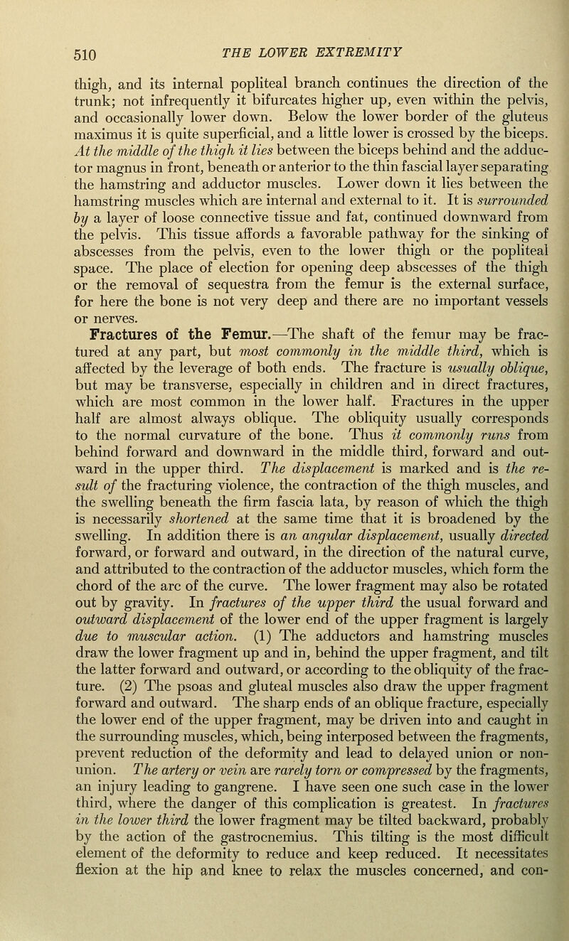 thigh, and its internal popliteal branch continues the direction of the trunk; not infrequently it bifurcates higher up, even within the pelvis, and occasionally lower down. Below the lower border of the gluteus maximus it is quite superficial, and a little lower is crossed by the biceps. At the middle of the thigh it lies between the biceps behind and the adduc- tor magnus in front, beneath or anterior to the thin fascial layer separating the hamstring and adductor muscles. Lower down it lies between the hamstring muscles which are internal and external to it. It is surrounded by a layer of loose connective tissue and fat, continued downward from the pelvis. This tissue affords a favorable pathway for the sinking of abscesses from the pelvis, even to the lower thigh or the popliteal space. The place of election for opening deep abscesses of the thigh or the removal of sequestra from the femur is the external surface, for here the bone is not very deep and there are no important vessels or nerves. Fractures of the Femur.—The shaft of the femur may be frac- tured at any part, but most commonly in the middle third, which is affected by the leverage of both ends. The fracture is usually oblique, but may be transverse, especially in children and in direct fractures, which are most common in the lower half. Fractures in the upper half are almost always oblique. The obliquity usually corresponds to the normal curvature of the bone. Thus it commonly runs from behind forward and downward in the middle third, forward and out- ward in the upper third. The displacement is marked and is the re- sult of the fracturing violence, the contraction of the thigh muscles, and the swelling beneath the firm fascia lata, by reason of which the thigh is necessarily shortened at the same time that it is broadened by the swelling. In addition there is an angular displacement, usually directed forward, or forward and outward, in the direction of the natural curve, and attributed to the contraction of the adductor muscles, which form the chord of the arc of the curve. The lower fragment may also be rotated out by gravity. In fractures of the upper third the usual forward and outward displacement of the lower end of the upper fragment is largely due to muscular action. (1) The adductors and hamstring muscles draw the lower fragment up and in, behind the upper fragment, and tilt the latter forward and outward, or according to the obliquity of the frac- ture. (2) The psoas and gluteal muscles also draw the upper fragment forward and outward. The sharp ends of an oblique fracture, especially the lower end of the upper fragment, may be driven into and caught in the surrounding muscles, which, being interposed between the fragments, prevent reduction of the deformity and lead to delayed union or non- union. The artery or vein are rarely torn or compressed by the fragments, an injury leading to gangrene. I have seen one such case in the lower third, where the danger of this complication is greatest. In fractures in the lower third the lower fragment may be tilted backward, probably by the action of the gastrocnemius. This tilting is the most difficult element of the deformity to reduce and keep reduced. It necessitates flexion at the hip and knee to relax the muscles concerned, and con-