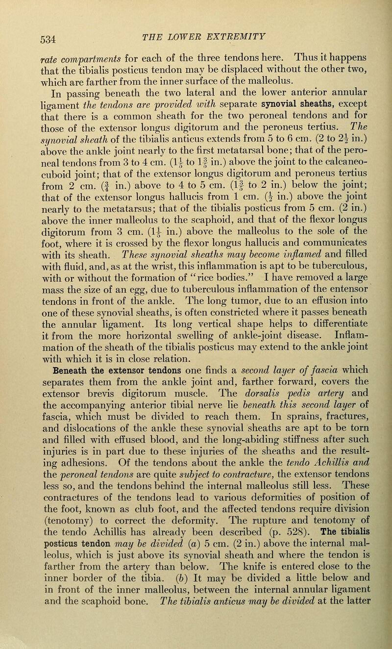 rate compartments for each of the three tendons here. Thus it happens that the tibialis posticus tendon may be displaced without the other two, which are farther from the inner surface of the malleolus. In passing beneath the two lateral and the lower anterior annular ligament the tendons are provided with separate synovial sheaths, except that there is a common sheath for the two peroneal tendons and for those of the extensor longus digitorum and the peroneus tertius. The synovial sheath of the tibialis anticus extends from 5 to 6 cm. (2 to 2\ in.) above the ankle joint nearly to the first metatarsal bone; that of the pero- neal tendons from 3 to 4 cm. (\\ to If in.) above the joint to the calcaneo- cuboid joint; that of the extensor longus digitorum and peroneus tertius from 2 cm. (f in.) above to 4 to 5 cm. (If to 2 in.) below the joint; that of the extensor longus hallucis from 1 cm. % in.) above the joint nearly to the metatarsus; that of the tibialis posticus from 5 cm. (2 in.) above the inner malleolus to the scaphoid, and that of the flexor longus digitorum from 3 cm. (1-jL in.) above the malleolus to the sole of the foot, where it is crossed by the flexor longus hallucis and communicates with its sheath. These synovial sheaths may become inflamed and filled with fluid, and, as at the wrist, this inflammation is apt to be tuberculous, with or without the formation of rice bodies. I have removed a large mass the size of an egg, due to tuberculous inflammation of the entensor tendons in front of the ankle. The long tumor, due to an effusion into one of these synovial sheaths, is often constricted where it passes beneath the annular ligament. Its long vertical shape helps to differentiate it from the more horizontal swelling of ankle-joint disease. Inflam- mation of the sheath of the tibialis posticus may extend to the ankle joint with which it is in close relation. Beneath the extensor tendons one finds a second layer of fascia which separates them from the ankle joint and, farther forward, covers the extensor brevis digitorum muscle. The dorsalis pedis artery and the accompanying anterior tibial nerve lie beneath this second layer of fascia, which must be divided to reach them. In sprains, fractures, and dislocations of the ankle these synovial sheaths are apt to be torn and filled with effused blood, and the long-abiding stiffness after such injuries is in part due to these injuries of the sheaths and the result- ing adhesions. Of the tendons about the ankle the tendo Achillis and the peroneal tendons are quite subject to contracture, the extensor tendons less so, and the tendons behind the internal malleolus still less. These contractures of the tendons lead to various deformities of position of the foot, known as club foot, and the affected tendons require division (tenotomy) to correct the deformity. The rupture and tenotomy of the tendo Achillis has already been described (p. 528). The tibialis posticus tendon may be divided (a) 5 cm. (2 in.) above the internal mal- leolus, which is just above its synovial sheath and where the tendon is farther from the artery than below. The knife is entered close to the inner border of the tibia. (&) It may be divided a little below and in front of the inner malleolus, between the internal annular ligament and the scaphoid bone. The tibialis anticus may be divided at the latter