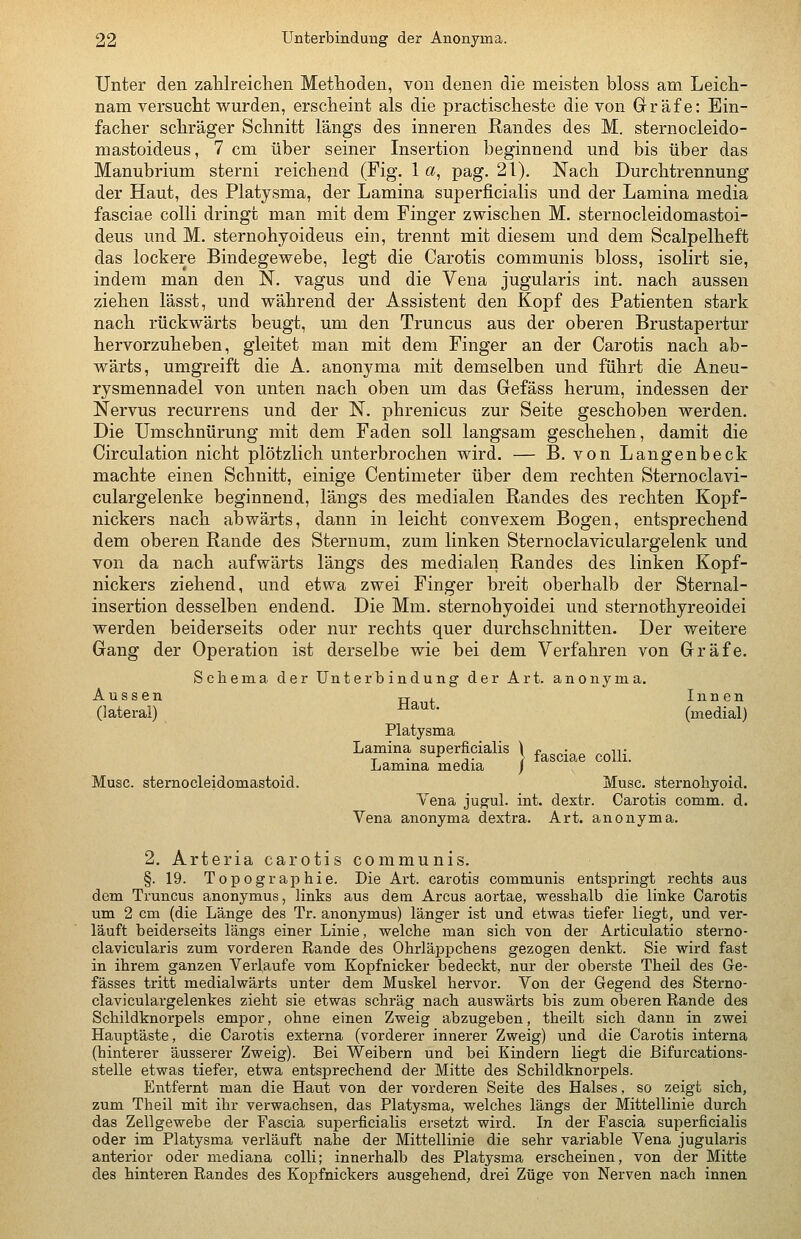 Unter den zahlreiclien Methoden, von denen die meisten bloss am Leich- nam versucht wurden, erscheint als die practischeste die von Grräfe: Ein- facher schräger Schnitt längs des inneren Randes des M. sternocleido- mastoideus, 7 cm über seiner Insertion beginnend und bis über das Manubrium sterni reichend (Fig. 1 a, pag. 21). Nach Durchtrennung der Haut, des Platysma, der Lamina superficialis und der Lamina media fasciae colli dringt man mit dem Finger zwischen M. sternocleidomastoi- deus und M. sternohyoideus ein, trennt mit diesem und dem Scalpelheft das lockere Bindegewebe, legt die Carotis communis bloss, isolirt sie, indem man den N. vagus und die Vena jugularis int. nach aussen ziehen lässt, und während der Assistent den Kopf des Patienten stark nach rückwärts beugt, um den Truncus aus der oberen Brustapertur hervorzuheben, gleitet man mit dem Finger an der Carotis nach ab- wärts, umgreift die A. anonyma mit demselben und führt die Aneu- rysmennadel von unten nach oben um das Gefäss herum, indessen der Nervus recurrens und der N. phrenicus zur Seite geschoben werden. Die Umschnürung mit dem Faden soll langsam geschehen, damit die Circulation nicht plötzlich unterbrochen wird. — B. von Langenbeck machte einen Schnitt, einige Centimeter über dem rechten Sternoclavi- culargelenke beginnend, längs des medialen Randes des rechten Kopf- nickers nach abwärts, dann in leicht convexem Bogen, entsprechend dem oberen Rande des Sternum, zum linken Sternoclaviculargelenk und von da nach aufwärts längs des medialen Randes des linken Kopf- nickers ziehend, und etwa zwei Finger breit oberhalb der Sternal- insertion desselben endend. Die Mm. sternohyoidei und sternothyreoidei werden beiderseits oder nur rechts quer durchschnitten. Der weitere Gang der Operation ist derselbe wie bei dem Verfahren von Gräfe. Schema der Unterbindung der Art. anonyma. Aussen u i. Inn en (lateral) ^^^^- (medial) Platysma Lamina superficialis ) ^^^^-^^ ^^^._ Lamina media j Muse, stemocleidomastoid. Muse, sternohyoid. Vena jugul. int. dextr. Carotis comm. d. Vena anonyma dextra. Art. anonyma. 2. Arteria carotis communis. §. 19. Topographie. Die Art. carotis communis entspringt rechts aus dorn Truncus anonymus, links aus dem Arcus aortae, wesshalb die linke Carotis um 2 cm (die Länge des Tr. anonymus) länger ist und etwas tiefer liegt, und ver- läuft beiderseits längs einer Linie, welche man sich von der Articulatio sterno- clavicularis zum vorderen Rande des Ohrläppchens gezogen denkt. Sie wird fast in ihrem ganzen Verlaufe vom Kopfnicker bedeckt, nur der oberste Theil des Ge- fässes tritt medialwärts unter dem Muskel hervor. Von der Gegend des Sterno- claviculargelenkes zieht sie etwas schräg nach auswärts bis zum oberen Rande des Schildknorpels empor, ohne einen Zweig abzugeben, theilt sich dann in zwei Hauptäste, die Carotis externa (vorderer innerer Zweig) und die Carotis interna (hinterer äusserer Zweig). Bei Weibern und bei Kindern liegt die ßifurcations- stelle etwas tiefer, etwa entsprechend der Mitte des Schildknorpels. Entfernt man die Haut von der vorderen Seite des Halses, so zeigt sich, zum Theil mit ihr verwachsen, das Platysma, welches längs der Mittellinie durch das Zellgewebe der Fascia superficialis ersetzt wird. In der Fascia superficialis oder im Platysma verläuft nahe der Mittellinie die sehr variable Vena jugularis anterior oder mediana colli; innerhalb des Platysma erscheinen, von der Mitte des hinteren Randes des Kopfnickers ausgehend, drei Züge von Nerven nach innen