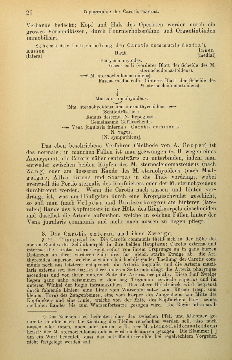 Verbände bedeckt; Kopf und Hals des Operirten werden durch ein grosses Verbandkissen, durch Fournierholzspähne und Organtinbinden immobilisirt. Schema der Unterbindung der Carotis communis dextra^). Aussen tt_„^. Innen (lateral) ■^^''^- (medial) Platysma myoides. Fascia colli (vorderes Blatt der Scheide des M. sternocleidomastoideus). -*-<« M. sternocleidomastoideus). Fascia media colli (hinteres Blatt der Scheide des M. sternocleidomastoideus). Musculus omohyoideus. (Mm. sternohyoideus und sternothyreoideus. »»-> (Schilddrüse »w—>• Ramus descend. N. hypoglossi. Gemeinsame Gefässscheide. f—m Vena jugularis interna.) Carotis communis. N. vagus. [N. sympathicus]. Das eben beschriebene Verfahren (Methode von A. Cooper) ist das normale; in manchen Fällen ist man gezwungen (z. B. wegen eines Aneurysma), die Carotis näher centralwärts zu unterbinden, indem man entweder zwischen beiden Köpfen des M. sternocleidomastoideus (nach Zang) oder am äusseren Rande des M, sternohyoideus (nach Mal- gaigne, Allan Bums und Scarpa) in die Tiefe vordringt, wobei eventuell die Portio sternalis des Kopfnickers oder der M. sternohyoideus durchtrennt werden. Wenn die Carotis nach aussen und hinten ver- drängt ist, was am Häufigsten durch eine Kropfgeschwulst geschieht, so soll man (nach Velpeau und Bautzenberger) am hinteren (late- ralen) Rande des Kopfnickers in der Höhe des Ringknorpels einschneiden und daselbst die Arterie aufsuchen, welche in solchen Fällen hinter der Vena jugularis communis und mehr nach aussen zu liegen pflegt. 3. Die Carotis externa und ihre Zweige. §. 21. Topographie. Die Carotis communis theilt sich in der Höhe des oberen Randes des Schildknorpels in ihre beiden Hauptäste: Carotis externa und interna; die Carotis externa giebt sofort von ihrem Ursprünge an in ganz kurzen Distanzen an ihrer vorderen Seite drei fast gleich starke Zweige ab: die Art. thyreoidea superior, welche zuweilen bei hochliegender Theilung der Carotis com- munis noch aus letzterer entspringt, die Arteria lingualis, und die Arteria maxil- laris externa seu facialis; .an ihrer inneren Seite entspringt die Arteria pharyngea ascendens und von ihrer hinteren Seite die Arteria occipitalis. Diese fünf Zweige liegen ganz nahe beisammen in dem sog. Trigonum cervicale superius und im unteren Winkel der Regio inframaxillaris. Das obere Halsdreieck wird begrenzt durch folgende Linien: eine Linie vom Warzenfortsatze zum Körper (resp. zum kleinen Hörn) des Zungenbeines, eine vom Körper des Zungenbeins zur Mitte des Kopfnickers und eine Linie, welche von der Mitte des Kopfnickers_ längs seines medialen Randes bis zum Warzenfortsatze gezogen wird. Die Regio inframaxil- 1) Das Zeichen ^-m) bedeutet, dass das zwischen Pfeil und Klammer ge- nannte Gebilde nach der Richtung des Pfeiles verschoben werden soll, also nach aussen oder innen, oben oder unten, z.B.: *-m M. sternocleidomastoideus) heisst: der M. sternocleidomastoideus wird nach aussen gezogen. Die Klammer [ ] um ein Wort bedeutet, dass das betreffende Gebilde bei regelrechtem Vorgehen nicht freigelegt werden soll.