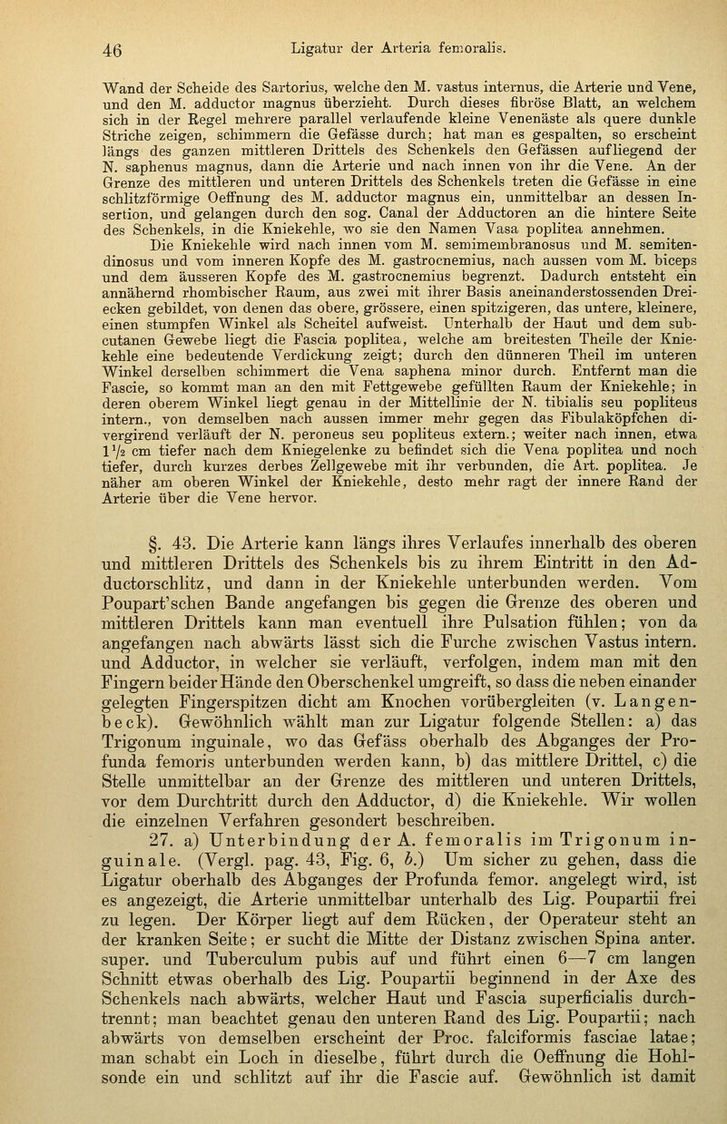 Wand der Scheide des Sartorius, welclie den M. vastus internus, die Arterie und Vene, und den M. adductor magnus überzieht. Durch dieses fibröse Blatt, an welchem sich in der Regel mehrere parallel verlaufende kleine Venenäste als quere dunkle Striche zeigen, schimmern die Gefässe durch; hat man es gespalten, so erscheint längs des ganzen mittleren Drittels des Schenkels den Gefässen aufliegend der N. saphenus magnus, dann die Arterie und nach innen von ihr die Vene. An der Grenze des mittleren und unteren Drittels des Schenkels treten die Gefässe in eine schlitzförmige Oeffnung des M. adductor magnus ein, unmittelbar an dessen In- sertion, und gelangen durch den sog. Canal der Adductoren an die hintere Seite des Schenkels, in die Kniekehle, wo sie den Namen Vasa poplitea annehmen. Die Kniekehle wird nach innen vom M. semimembranosus und M. semiten- dinosus und vom inneren Kopfe des M. gastrocnemius, nach aussen vom M. biceps und dem äusseren Kopfe des M. gastrocnemius begrenzt. Dadurch entsteht ein annähernd rhombischer Raum, aus zwei mit ihrer Basis aneinanderstossenden Drei- ecken gebildet, von denen das obere, grössere, einen spitzigeren, das untere, kleinere, einen stumpfen Winkel als Scheitel aufweist. Unterhalb der Haut und dem sub- cutanen Gewebe liegt die Fascia poplitea, welche am breitesten Theile der Knie- kehle eine bedeutende Verdickung zeigt; durch den dünneren Theil im unteren Winkel derselben schimmert die Vena saphena minor durch. Entfernt man die Fascie, so kommt man an den mit Fettgewebe gefüllten Raum der Kniekehle; in deren oberem Winkel liegt genau in der Mittellinie der N. tibialis seu popliteus intern., von demselben nach aussen immer mehr gegen das Fibulaköpfchen di- vergirend verläuft der N. peroneus seu popliteus extern.; weiter nach innen, etwa 172 cm tiefer nach dem Kniegelenke zu befindet sich die Vena poplitea und noch tiefer, durch kurzes derbes Zellgewebe mit ihr verbunden, die Art. poplitea. Je näher am oberen Winkel der Kniekehle, desto mehr ragt der innere Rand der Arterie über die Vene hervor. §, 43. Die Arterie kann längs ihres Verlaufes innerhalb des oberen und mittleren Drittels des Schenkels bis zu ihrem Eintritt in den Ad- ductorschlitz, und dann in der Kniekehle unterbunden werden. Vom Poupart'schen Bande angefangen bis gegen die Grenze des oberen und mittleren Drittels kann man eventuell ihre Pulsation fühlen; von da angefangen nach abM^ärts lässt sich die Furche zwischen Vastus intern, und Adductor, in welcher sie verläuft, verfolgen, indem man mit den Fingern beider Hände den Oberschenkel umgreift, so dass die neben einander gelegten Fingerspitzen dicht am Knochen vorübergleiten (v. Langen- beck). Gewöhnlich wählt man zur Ligatur folgende Stellen: a) das Trigonum inguinale, wo das Gefäss oberhalb des Abganges der Pro- funda femoris unterbunden werden kann, b) das mittlere Drittel, c) die Stelle unmittelbar an der Grenze des mittleren und unteren Drittels, vor dem Durchtritt durch den Adductor, d) die Kniekehle. Wir wollen die einzelnen Verfahren gesondert beschreiben. 27. a) Unterbindung derA. femoralis im Trigonum in- guinale. (Vergl. pag. 43, Fig. 6, b.) Um sicher zu gehen, dass die Ligatur oberhalb des Abganges der Profunda femor. angelegt wird, ist es angezeigt, die Arterie unmittelbar unterhalb des Lig. Poupartii frei zu legen. Der Körper liegt auf dem Rücken, der Operateur steht an der kranken Seite; er sucht die Mitte der Distanz zwischen Spina anter. super, und Tuberculum pubis auf und führt einen 6—-1 cm langen Schnitt etwas oberhalb des Lig. Poupartii beginnend in der Axe des Schenkels nach abwärts, welcher Haut und Fascia superficialis durch- trennt; man beachtet genau den unteren Rand des Lig. Poupartii; nach abwärts von demselben erscheint der Proc. falciformis fasciae latae; man schabt ein Loch in dieselbe, führt durch die Oeffnung die Hohl- sonde ein und schlitzt auf ihr die Fascie auf. Gewöhnlich ist damit