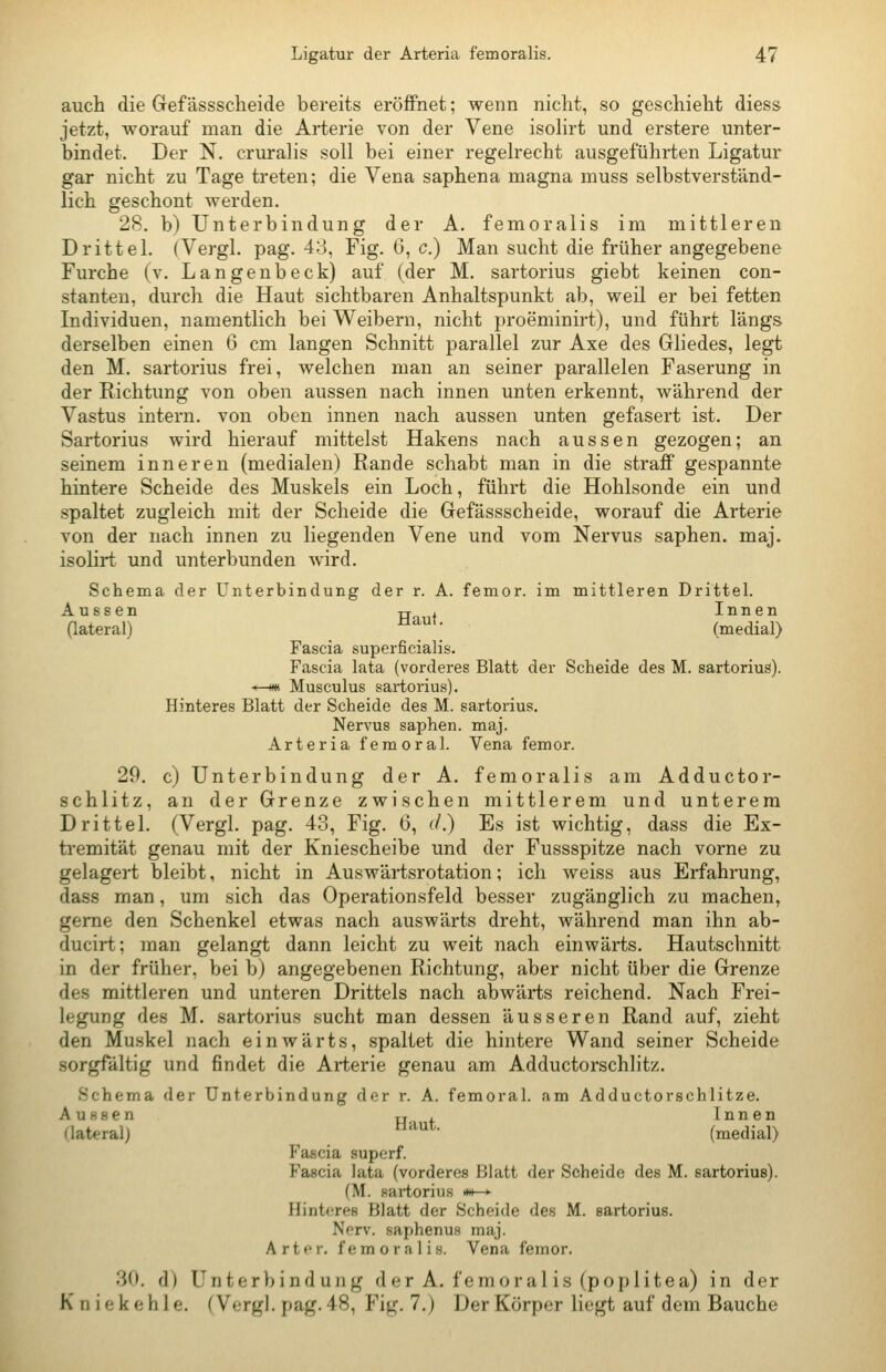 auch die Gefässscheide bereits eröffnet; wenn nicht, so geschieht diess jetzt, worauf man die Arterie von der Vene isolirt und erstere unter- bindet. Der N. eruralis soll bei einer regelrecht ausgeführten Ligatur gar nicht zu Tage treten; die Vena saphena magna muss selbstverständ- lich geschont werden. 28. b) Unterbindung der A. femoralis im mittleren Drittel. (Vergl. pag. 43, Fig. 6, c.) Man sucht die früher angegebene Furche (v. Langenbeck) auf (der M. sartorius giebt keinen con- stanten, durch die Haut sichtbaren Anhaltspunkt ab, weil er bei fetten Individuen, namentlich bei Weibern, nicht proeminirt), und führt längs derselben einen 6 cm langen Schnitt parallel zur Axe des Gliedes, legt den M. sartorius frei, welchen mau an seiner parallelen Faserung in der Richtung von oben aussen nach innen unten erkennt, während der Vastus intern, von oben innen nach aussen unten gefasert ist. Der Sartorius wird hierauf mittelst Hakens nach aussen gezogen; an seinem inneren (medialen) Rande schabt man in die straff gespannte hintere Scheide des Muskels ein Loch, führt die Hohlsonde ein und spaltet zugleich mit der Scheide die Gefässscheide, worauf die Arterie von der nach innen zu liegenden Vene und vom Nervus saphen. maj. isolirt und unterbunden wird. Schema der Unterbindung der r. A. femor. im mittleren Drittel. Aussen Hat Innen (lateral)  ' (medial) Fascia superficialis. Fascia lata (vorderes Blatt der Scheide des M. sartorius). *-m Musculus sartorius). Hinteres Blatt der Scheide des M. sartorius. Nervus saphen. maj. Arteria femoral. Vena femor. 29. c) Unterbindung der A. femoralis am Adductor- schlitz, an der Grenze zwischen mittlerem und unterem Drittel. (Vergl. pag. 43, Fig. 6, (/.) Es ist wichtig, dass die Ex- tremität genau mit der Kniescheibe und der Fussspitze nach vorne zu gelagert bleibt, nicht in Auswärtsrotation; ich weiss aus Erfahrung, dass man, um sich das Operationsfeld besser zugänglich zu machen, gerne den Schenkel etwas nach auswärts dreht, während man ihn ab- ducirt; man gelangt dann leicht zu weit nach einwärts. Hautschnitt in der früher, bei b) angegebenen Richtung, aber nicht über die Grenze des mittleren und unteren Drittels nach abwärts reichend. Nach Frei- legung des M. sartorius sucht man dessen äusseren Rand auf, zieht den Muskel nach einwärts, spaltet die hintere Wand seiner Scheide sorgfältig und findet die Arterie genau am Adductorschlitz. Schema der Unterbindung der r. A. femoral, am Adductorschlitze. Aussen Uf Innen (lateralj *^^- (medial) Fascia superf. Fascia lata (vorderes Blatt der Scheide des M. sartorius). (M. sartorius m—- Hinteres Blatt der Scheide des M. sartorius. Nerv, saphenus maj. Arter. femoralis. Vena femor. 30. d) Unterbindung der A. femoralis (poplitea) in der Kniekehle. (Vergl. pag. 48, Fig. 7.) Der Körper liegt auf dem Bauche