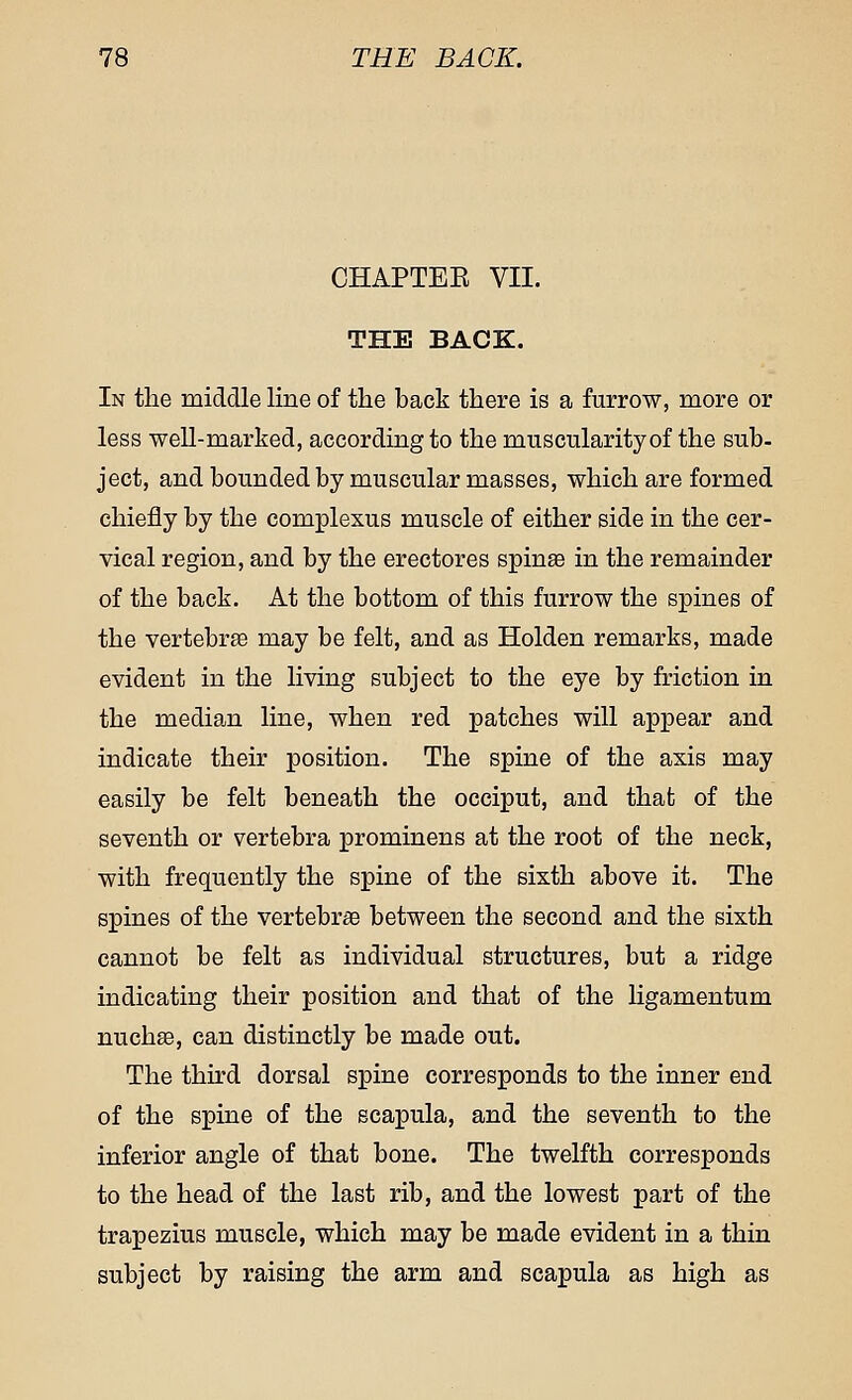 CHAPTEK VII. THE BACK. In the middle line of the back there is a furrow, more or less well-marked, according to the muscularity of the sub- ject, and bounded by muscular masses, which are formed chiefly by the complexus muscle of either side in the cer- vical region, and by the erectores spinae in the remainder of the back. At the bottom of this furrow the spines of the vertebrae may be felt, and as Holden remarks, made evident in the living subject to the eye by friction in the median line, when red patches will appear and indicate their position. The spine of the axis may easily be felt beneath the occiput, and that of the seventh or vertebra prominens at the root of the neck, with frequently the spine of the sixth above it. The spines of the vertebrae between the second and the sixth cannot be felt as individual structures, but a ridge indicating their position and that of the ligamentum nuchas, can distinctly be made out. The third dorsal spine corresponds to the inner end of the spine of the scapula, and the seventh to the inferior angle of that bone. The twelfth corresponds to the head of the last rib, and the lowest part of the trapezius muscle, which may be made evident in a thin subject by raising the arm and scapula as high as