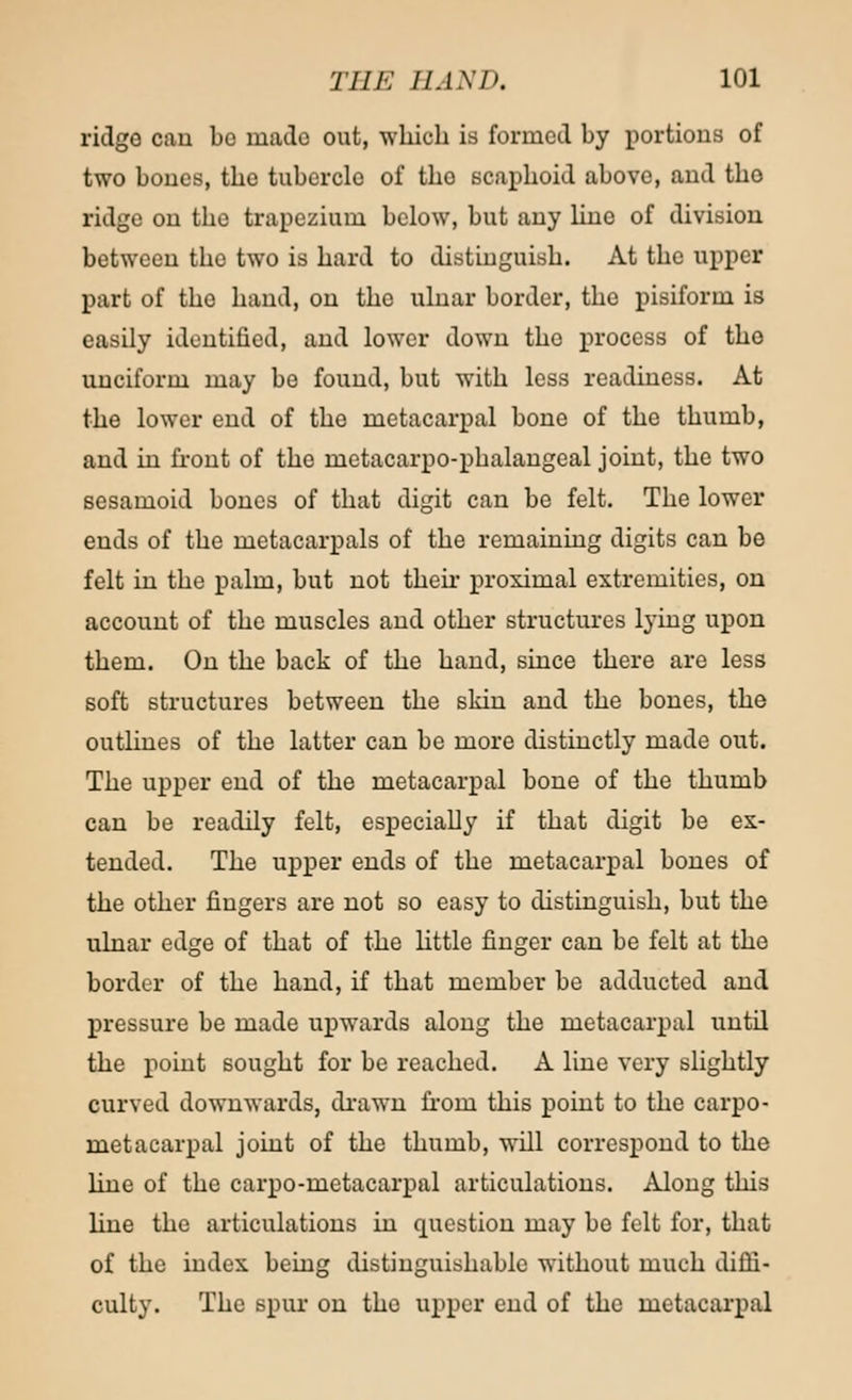 ridgo cau be made out, which is formed by portions of two bones, the tubercle of tho scaphoid above, and the ridge on the trapezium below, but any hue of division between the two is hard to distinguish. At the upper part of tho hand, on the ulnar border, the pisiform is easily identified, and lower down tho process of tho unciform may be found, but with less readiness. At the lower end of the metacarpal bone of the thumb, and in front of the metacarpophalangeal joint, the two sesamoid bones of that digit can be felt. The lower ends of the metacarpals of the remaining digits can be felt in the palm, but not then- proximal extremities, on account of the muscles and other structures lying upon them. On the back of the hand, since there are less soft structures between the skin and the bones, the outlines of the latter can be more distinctly made out. The upper end of the metacarpal bone of the thumb can be readily felt, especially if that digit be ex- tended. The upper ends of the metacarpal bones of the other fingers are not so easy to distinguish, but the ulnar edge of that of the little finger can be felt at the border of the hand, if that member be adducted and pressure be made upwards along the metacarpal until the point sought for be reached. A line very slightly curved downwards, drawn froin this point to the carpo- metacarpal joint of the thumb, will correspond to the line of the carpo-metacarpal articulations. Along this line the articulations in question may be felt for, that of the index being distinguishable without much diffi- culty. The spur on the upper end of the metacarpal