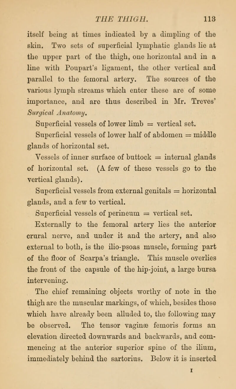 itself being at times indicated by a dimpling of the skin. Two sets of superficial lymphatic glands lie at the upper part of the thigh, one horizontal and in a line with Poupart's ligament, the other vertical and parallel to the femoral artery. The sources of the various lymph streams which enter these are of some importance, and are thus described in Mr. Treves' Surgical Anatomy. Superficial vessels of lower limb = vertical set. Superficial vessels of lower half of abdomen = middle glands of horizontal set. Vessels of inner surface of buttock = internal glands of horizontal set. (A few of these vessels go to the vertical glands). Superficial vessels from external genitals = horizontal glands, and a few to vertical. Superficial vessels of perineum = vertical set. Externally to the femoral artery lies the anterior crural nerve, and under it and the artery, and also external to both, is the ilio-psoas muscle, forming part of the floor of Scarpa's triangle. This muscle overlies the front of the capsule of the hip-joint, a large bursa intervening. The chief remaining objects worthy of note in the thigh are the muscular markings, of which, besides those which have already been alluded to, the following may be observed. The tensor vagina? femoris forms an elevation directed downwards and backwards, and com- mencing at the anterior superior spine of the ilium, immediately behind the sartorius. Below it is inserted i