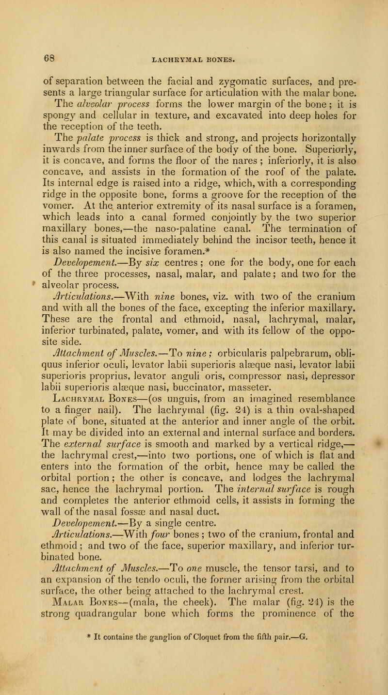 of separation between the facial and zygomatic surfaces, and pre- sents a large triangular surface for articulation with the malar bone. The alveolar 'process forms the lower margin of the bone; it is spongy and cellular in texture, and excavated into deep holes for the reception of the teeth. The -palate process is thick and strong, and projects horizontally inwards from the inner surface of the body of the bone. Superiorly, it is concave, and forms the floor of the nares ; inferiorly, it is also concave, and assists in the formation of the roof of the palate. Its internal edge is raised into a ridge, which, with a corresponding ridge in the opposite bone, forms a groove for the reception of the vomer. At the anterior extremity of its nasal surface is a foramen, which leads into a canal formed conjointly by the two superior maxillary bones,—the naso-palatine canal. The termination of this canal is situated immediately behind the incisor teeth, hence it is also named the incisive foramen.* Developement—By six centres ; one for the body, one for each of the three processes, nasal, malar, and palate; and two for the alveolar process. Jlrticulations.—With nine bones, viz. with two of the cranium and with all the bones of the face, excepting the inferior maxillary. These are the frontal and ethmoid, nasal, lachrymal, malar, inferior turbinated, palate, vomer, and with its fellow of the oppo- site side. Mtachmenl of Muscles.—To nine; orbicularis palpebrarum, obli- quus inferior oculi, levator labii superioris alseque nasi, levator labii superioris proprius, levator anguli oris, compressor nasi, depressor labii superioris alaeque nasi, buccinator, masseter. Lachrymal Boives—(os unguis, from an imagined resemblance to a finger nail). The lachrymal (fig. 24) is a thin oval-shaped plate of bone, situated at the anterior and inner angle of the orbit. It may be divided into an external and internal surface and borders. The external surface is smooth and marked by a vertical ridge,— the lachrymal crest,—into two portions, one of which is flat and enters into the formation of the orbit, hence may be called the orbital portion; the other is concave, and lodges the lachrymal sac, hence the lachrymal portion. The internal surface is rough and completes the anterior ethmoid cells, it assists in forming the wall of the nasal fossaj and nasal duct. Developement.—By a single centre. Articulations.—With/owr bones; two of the cranium, frontal and ethmoid; and two of the face, superior maxillary, and inferior tur- binated bone. Attachment of Muscles.—To one muscle, the tensor tarsi, and to an expansion of the tendo oculi, the former arising from the orbital surface, the other being attached to the lachrymal crest. Malar. Bones—(mala, the cheek). The malar (fig. 24) is the strong quadrangular bone which forms the prominence of the * It contains the ganglion of Clorjuet from the fifth pair.—G.