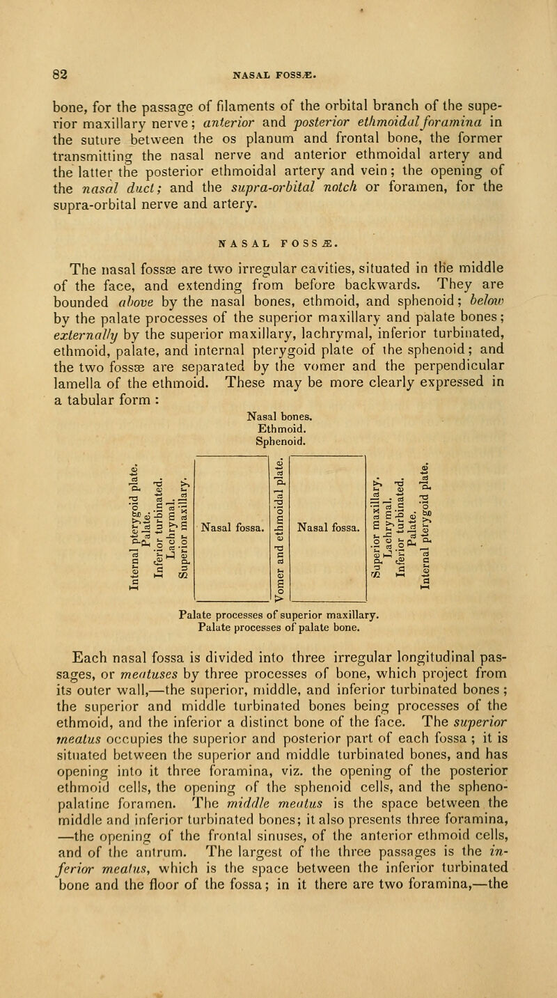 bone, for the passage of filaments of the orbital branch of the supe- rior maxillary nerve; anterior and posterior ethmoidal foramina in the suture between the os planum and frontal bone, the former transmitting the nasal nerve and anterior ethmoidal artery and the latter the posterior ethmoidal artery and vein; the opening of the nasal duct; and the supra-orbital notch or foramen, for the supra-orbital nerve and artery. NASAL FOSSiE. The nasal fossse are tvv^o irregular cavities, situated in tHe middle of the face, and extending from before backwards. They are bounded above by the nasal bones, ethmoid, and sphenoid; beloio by the palate processes of the superior maxillary and palate bones; externally by the superior maxillary, lachrymal, inferior turbinated, ethmoid, palate, and internal pterygoid plate of the sphenoid; and the two fossEe are separated by the vomer and the perpendicular lamella of the ethmoid. These may be more clearly expressed in a tabular form: Nasal bones. Ethmoid. Sphenoid. <o 2 >. E, >> T3 L. >3 <D ta d a -y O — _^ cd •-< rd C Nasal fossa. 'o a J3 Nasal fossa. max rymi turbi late. -C2 Ut ^ t. -C oj o o T) ^^ u C < '-' S a. cd O- t£ 3 t4 2 a 02 s m 1-1 c^cL, Palate processes of superior maxillary. Palate processes of palate bone. Each nasal fossa is divided into three irregular longitudinal pas- sages, or meatuses by three processes of bone, which project from its outer wall,—the superior, middle, and inferior turbinated bones; the superior and middle turbinated bones being processes of the ethmoid, and the inferior a distinct bone of the face. The superior meatus occupies the superior and posterior part of each fossa ; it is situated between the superior and middle turbinated bones, and has opening into it three foramina, viz. the opening of the posterior ethmoid cells, the opening of the sphenoid cells, and the spheno- palatine foramen. The middle meatus is the space between the middle and inferior turbinated bones; it also presents three foramina, —the opening of the frontal sinuses, of the anterior ethmoid cells, and of the antrum. The largest of the three passages is the in- ferior meatus, which is the space between the inferior turbinated bone and the floor of the fossa; in it there are two foramina,—the