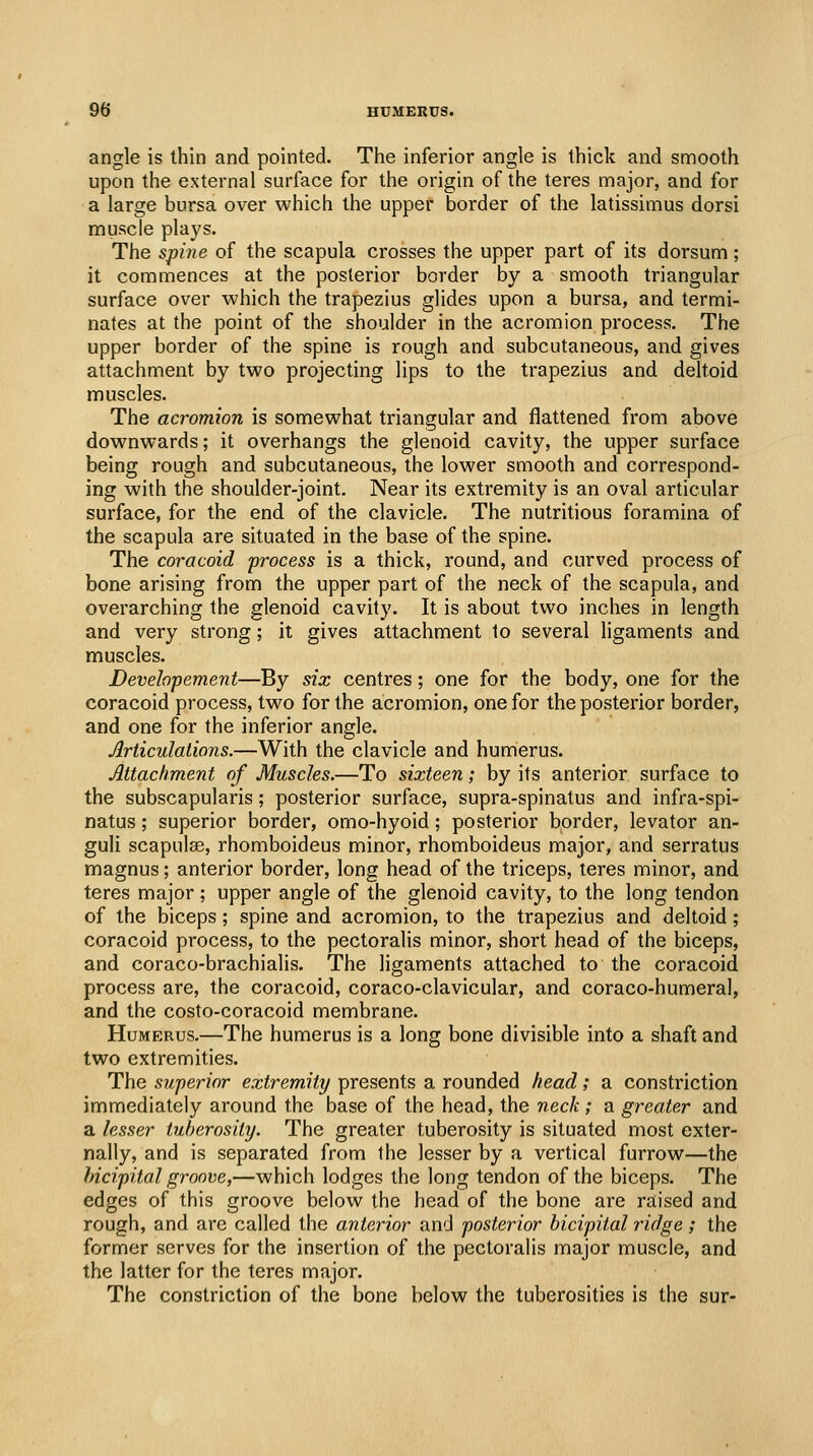 angle is thin and pointed. The inferior angle is thick and smooth upon the external surface for the origin of the teres major, and for a large bursa over which the upper border of the latissimus dorsi muscle plays. The spine of the scapula crosses the upper part of its dorsum; it commences at the posterior border by a smooth triangular surface over which the trapezius glides upon a bursa, and termi- nates at the point of the shoulder in the acromion process. The upper border of the spine is rough and subcutaneous, and gives attachment by two projecting lips to the trapezius and deltoid nnuscles. The acromion is somewhat triangular and flattened from above downwards; it overhangs the glenoid cavity, the upper surface being rough and subcutaneous, the lower smooth and correspond- ing with the shoulder-joint. Near its extremity is an oval articular surface, for the end of the clavicle. The nutritious foramina of the scapula are situated in the base of the spine. The coracoid process is a thick, round, and curved process of bone arising from the upper part of the neck of the scapula, and overarching the glenoid cavity. It is about two inches in length and very strong; it gives attachment to several ligaments and muscles. Devehpement—By six centres; one for the body, one for the coracoid process, two for the acromion, one for the posterior border, and one for the inferior angle. Articulations.—With the clavicle and humerus. Attachment of Muscles.—To sixteen; by its anterior surface to the subscapularis; posterior surface, supra-spinatus and infra-spi- natus; superior border, omo-hyoid; posterior border, levator an- guli scapulae, rhomboideus minor, rhomboideus major, and serratus magnus; anterior border, long head of the triceps, teres minor, and teres major ; upper angle of the glenoid cavity, to the long tendon of the biceps; spine and acromion, to the trapezius and deltoid; coracoid process, to the pectoralis minor, short head of the biceps, and coraco-brachialis. The ligaments attached to the coracoid process are, the coracoid, coraco-clavicular, and coraco-humeral, and the costo-coracoid membrane. Humerus.—The humerus is a long bone divisible into a shaft and two extremities. The superior extremity presents a rounded head; a constriction immediately around the base of the head, the neck ; a greater and a lesser tuberosity. The greater tuberosity is situated most exter- nally, and is separated from the lesser by a vertical furrow—the bicipital groove,—which lodges the long tendon of the biceps. The edges of this groove below the head of the bone are raised and rough, and are called the anterior and posterior bicipital ridge; the former serves for the insertion of the pectoralis major muscle, and the latter for the teres major. The constriction of the bone below the tuberosities is the sur-