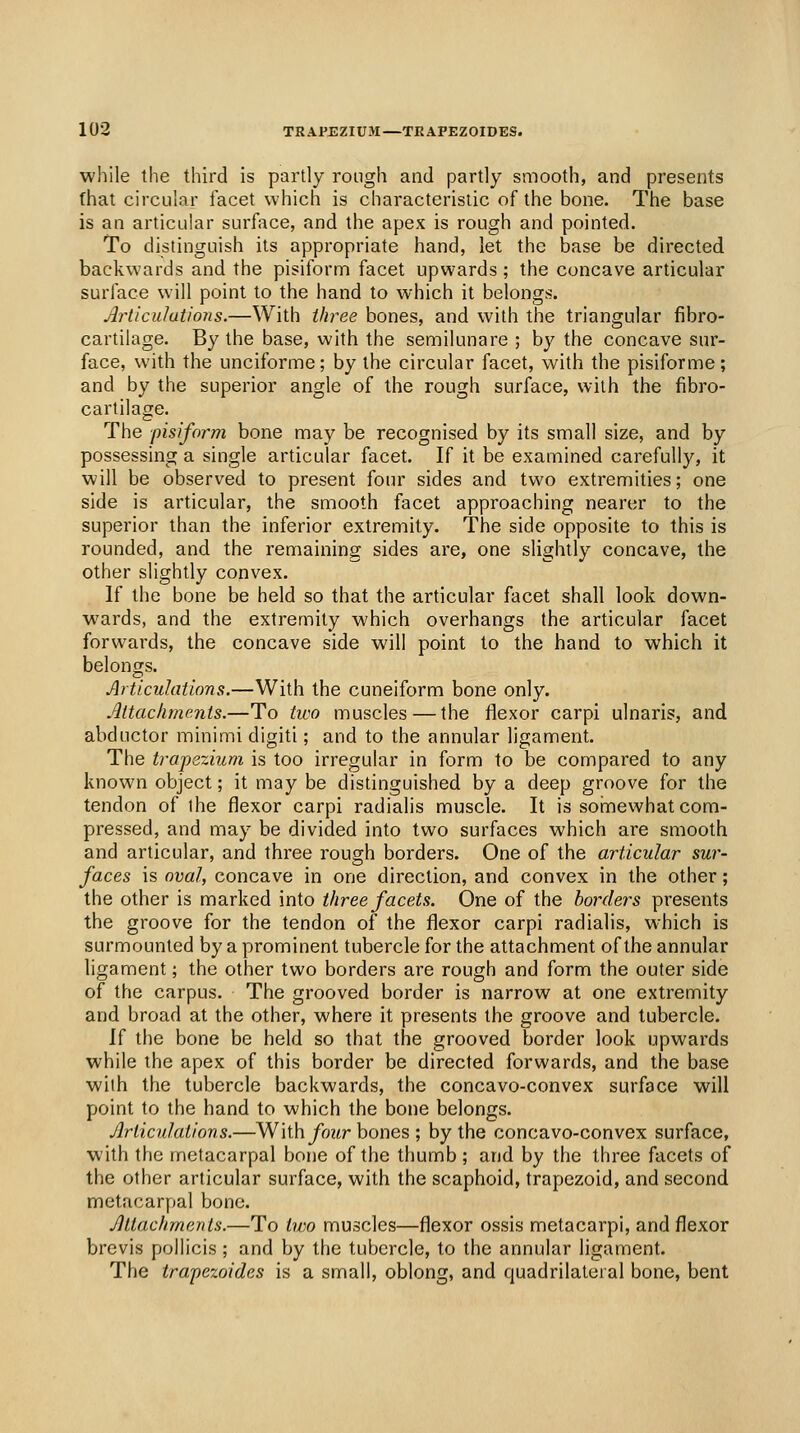 while the third is partly rough and partly smooth, and presents that circular facet which is characteristic of the bone. The base is an articular surface, and the apex is rough and pointed. To distinguish its appropriate hand, let the base be directed backwards and the pisiform facet upwards ; the concave articular surface will point to the hand to which it belongs. Articulations.—With three bones, and with the triangular fibro- cartilage. By the base, with the semilunare ; by the concave sur- face, with the unciforme; by the circular facet, with the pisiforme; and by the superior angle of the rough surface, with the fibro- cartilage. The pisiform bone may be recognised by its small size, and by possessing a single articular facet. If it be examined carefully, it will be observed to present four sides and two extremities; one side is articular, the smooth facet approaching nearer to the superior than the inferior extremity. The side opposite to this is I'ounded, and the remaining sides are, one slightly concave, the other slightly convex. If the bone be held so that the articular facet shall look down- wards, and the extremity which overhangs the articular facet forwards, the concave side will point to the hand to which it belongs. Articulations.—With the cuneiform bone only. Attachments.—To two muscles — the flexor carpi ulnaris, and abductor minimi digiti; and to the annular ligament. The trapezium is too irregular in form to be compared to any known object; it may be distinguished by a deep groove for the tendon of ihe flexor carpi radialis muscle. It is sornewhat com- pressed, and may be divided into two surfaces which are smooth and articular, and three rough borders. One of the articular sur- faces is nval, concave in one direction, and convex in the other; the other is marked into three facets. One of the borders presents the groove for the tendon of the flexor carpi radialis, which is surmounted by a prominent tubercle for the attachment of the annular ligament; the other two borders are rough and form the outer side of the carpus. The grooved border is narrow at one extremity and broad at the other, where it presents the groove and tubercle. U the bone be held so that the grooved border look upwards while the apex of this border be directed forwards, and the base with the tubercle backwards, the concavo-convex surface will point to the hand to which the bone belongs. Articulations.—W\i\\ four bones ; by the concavo-convex surface, with the metacarpal bone of the thumb; and by the three facets of the other articular surface, with the scaphoid, trapezoid, and second metacarpal bone. Attachments.—To two muscles—flexor ossis metacarpi, and flexor brevis pollicis ; and by the tubercle, to the annular ligament. The trapezoides is a small, oblong, and quadrilateral bone, bent
