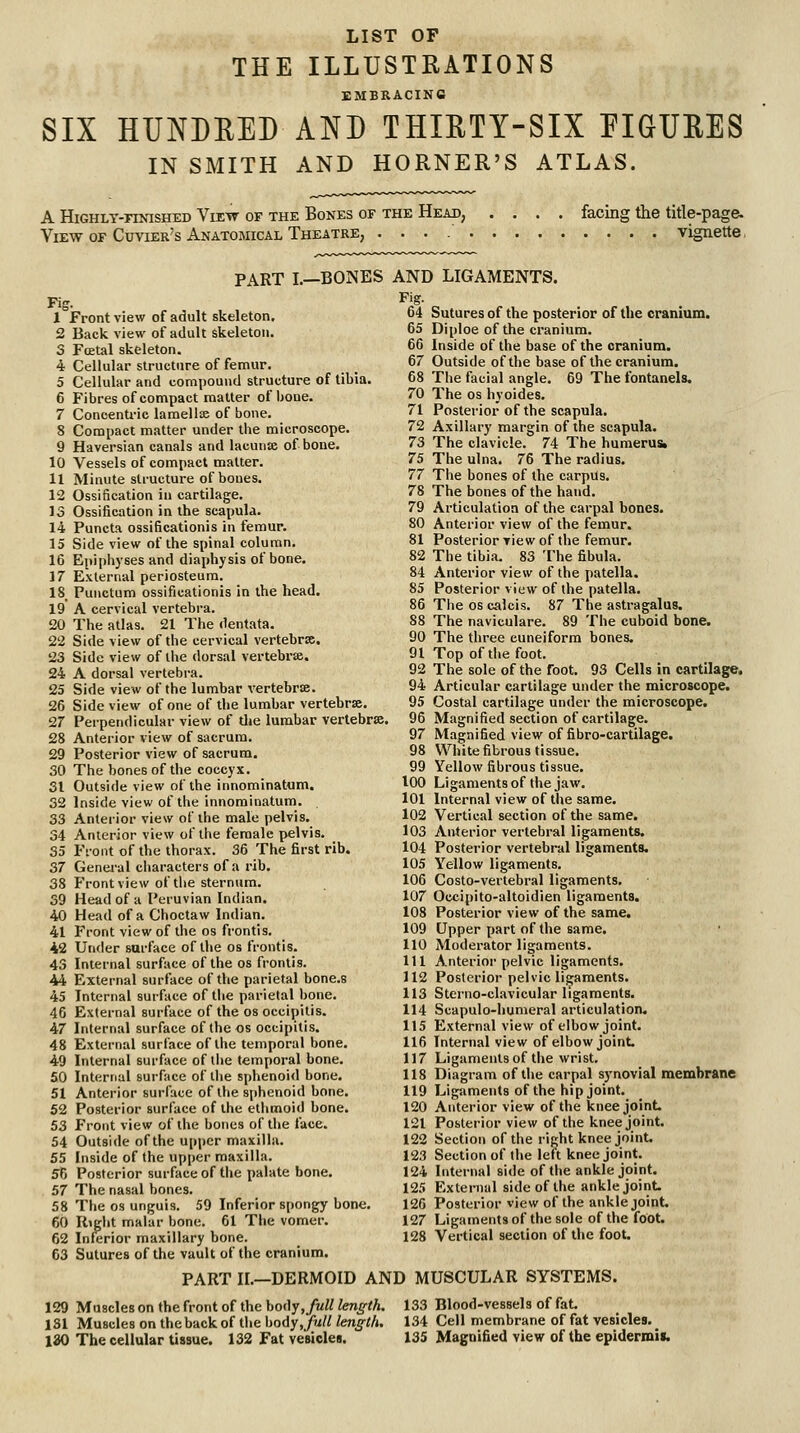 LIST OF THE ILLUSTRATIONS EMBRACING SIX HUNDEED AND THIETY-SIX PIGUEES IN SMITH AND HORNER'S ATLAS. A HlGHLY-TINISHED ViEW OF THE BoNES OF THE HeAD, View of Cuvier's Anatomical Theatre, facing the title-page. . . . . vignette PART I.—BONES AND LIGAMENTS. Fiff. Front view of adult skeleton. Back view of adult skeleton. FcEtal skeleton. Cellular structure of femur. Cellular and compound structure of tibia. Fibres of compact matter of bone. Conoenti'ic lamellse of bone. Compact matter under the microscope. Haversian canals and lacunx of bone. Vessels of compact matter. Minute structure of bones. Ossification in cartilage. Ossification in the scapula. Puncta ossificationis in femur. Side view of the spinal column. Epipiij'ses and diaphysis of bone. External periosteum. Punctum ossificationis in the head. A cervical vertebra. The atlas. 21 The dentata. Side view of the cervical vertebra. Side view of the dorsal vertebrse. A dorsal vertebra. Side view of the lumbar vertebrse. Side view of one of the lumbar vertebrse. Peipendicular view of tlie lumbar vertebrse. Anterior view of sacrum. Posterior view of sacrum. The bones of the coccyx. Outside view of the innominatum. Inside view of the innominatum. Anterior view of the male pelvis. Anterior view of the female pelvis. Front of the thorax. 36 The first rib. Genei-al characters of a rib. Front view of the sternum. Head of a Peruvian Indian. Head of a Choctaw Indian. Front view of the os frontis. Under surface of the os frontis. Intei'nal surface of the os frontis. External surface of the parietal bone.s Internal surface of the parietal bone. External surface of the os occipitis. Internal surface of the os occipitis. External surface of the temporal bone. Internal surface of liie temporal bone. Internal surface of the sphenoid bone. Anterior surface of the sphenoid bone. Posterior surface of the ethmoid bone. Front view of the bones of tlie face. Outside of the upper maxilla. Inside of the upper maxilla. Posterior surface of tlie palate bone. The nasal bones. The OS unguis. 59 Inferior spongy bone. Right malar bone. 61 The vomer. Inferior maxillary bone. Sutures of the vault of the cranium. 64 Sutures of the posterior of the cranium. 65 Diploe of the cranium. 66 Inside of the base of the cranium. 67 Outside of the base of the cranium. 68 The facial angle, 69 The fontanels. 70 The OS hyoides, 71 Posterior of the scapula. 72 Axillary margin of the scapula. 73 The clavicle. 74 The humerus. 75 The ulna. 76 The radius. 77 The bones of the carpUs. 78 The bones of the hand. 79 Articulation of the carpal bones. 80 Anterior view of the femur. 81 Posterior view of the femur. 82 The tibia. 83 The fibula. 84 Anterior view of the patella. 85 Posterior view of the patella. 86 The OS ealcis. 87 The astragalus. 88 The naviculare. 89 The cuboid bone. 90 The three cuneiform bones. 91 Top of tlie foot. 92 The sole of the foot. 93 Cells in cartilage. 94 Articular cartilage under the microscope. 95 Costal cartilage under the microscope. 96 Magnified section of cartilage. 97 Magnified view of fibro-cartilage. 98 White fibrous tissue. 99 Yellow fibrous tissue. 100 Ligaments of the jaw. 101 Internal view of the same. 102 Vertical section of the same. 103 Anterior vertebral ligaments. 104 Posterior vertebral ligaments. 105 Yellow ligaments. 106 Costo-vertebral ligaments. 107 Occipito-altoidien ligaments. 108 Posterior view of the same. 109 Upper part of the same. 110 Moderator ligaments. 111 Anterior pelvic ligaments. 112 Posterior pelvic ligaments. 113 Sterno-clavicular ligaments. 114 Scapulo-humeral articulation. 115 External view of elbow joint. 116 Internal view of elbow joint. 117 Ligaments of the wrist. 118 Diagram of the carpal synovial membrane 119 Ligtiments of the hip joint. 120 Anterior view of the knee joint 121 Posterior view of the knee joint. 122 Section of the rifjht knee joint. 123 Section of the left knee joint. 124 Internal side of tlie ankle joint. 125 External side of the ankle joint. 126 Posterior view of the ankle joint. 127 Ligaments of the sole of the foot. 128 Vertical section of the foot. PART II.—DERMOID AND MUSCULAR SYSTEMS. 129 Muscles on the front of the body ,/mW length. 181 Muscles on the back of the hody, full length. lao The cellular tissue. 132 Fat vesicles. 133 Blood-vessels of fat 134 Cell membrane of fat vesicles. 135 Magnified view of the epidermis.