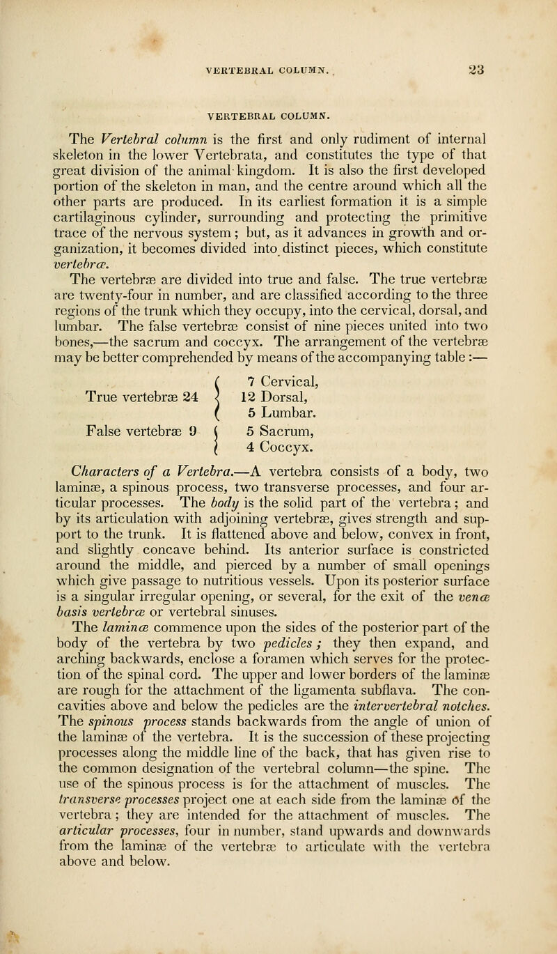 VERTEBRAL COLUMN. The Vertebral column is the first and only rudiment of internal skeleton in the lower Vertebrata, and constitutes the type of that great division of the animal kingdom. It is also the first developed portion of the skeleton in man, and the centre around which all the other parts are produced. In its earliest formation it is a simple cartilaginous cylinder, surrounding and protecting the primitive trace of the nervous system; but, as it advances in growth and or- ganization, it becomes divided into distinct pieces, which constitute vei'tehrcr. The vertebrsB are divided into true and false. The true vertebrse are twenty-four in number, and are classified according to the three regions of the trunk which they occupy, into the cervical, dorsal, and lumbar. The false vertebrae consist of nine pieces united into two bones,—the sacrum and coccyx. The arrangement of the vertebrae may be better comprehended by means of the accompanying table:— C 7 Cervical, True vertebrse 24 ^ 12 Dorsal, ( 5 Lumbar. False vertebrse 9 ( 5 Sacrum, I 4 Coccyx. Characters of a Vertebra.—A vertebra consists of a body, two laminae, a spinous process, two transverse processes, and four ar- ticular processes. The body is the solid part of the vertebra; and by its articulation with adjoining vertebrae, gives strength and sup- port to the trunk. It is flattened above and below, convex in front, and slightly concave behind. Its anterior surface is constricted around the middle, and pierced by a number of small openings which give passage to nutritious vessels. Upon its posterior surface is a singular irregular opening, or several, for the exit of the vence basis vertebrcB or vertebral sinuses. The lamincB commence upon the sides of the posterior part of the body of the vertebra by two pedicles; they then expand, and arching backwards, enclose a foramen which serves for the protec- tion of the spinal cord. The upper and lower borders of the laminae are rough for the attachment of the ligamenta subflava. The con- cavities above and below the pedicles are the intervertebral notches. The spinous process stands backwards from the angle of union of the laminae of the vertebra. It is the succession of these projecting processes along the middle line of the back, that has given rise to the common designation of the vertebral column—the spine. The use of the spinous process is for the attachment of muscles. The transverse processes project one at each side from the laminae of the vertebra; they are intended for the attachment of muscles. The articular processes, four in number, stand upwards and downwards from the lamina3 of the vertebras to articulate with the vertebra above and below.