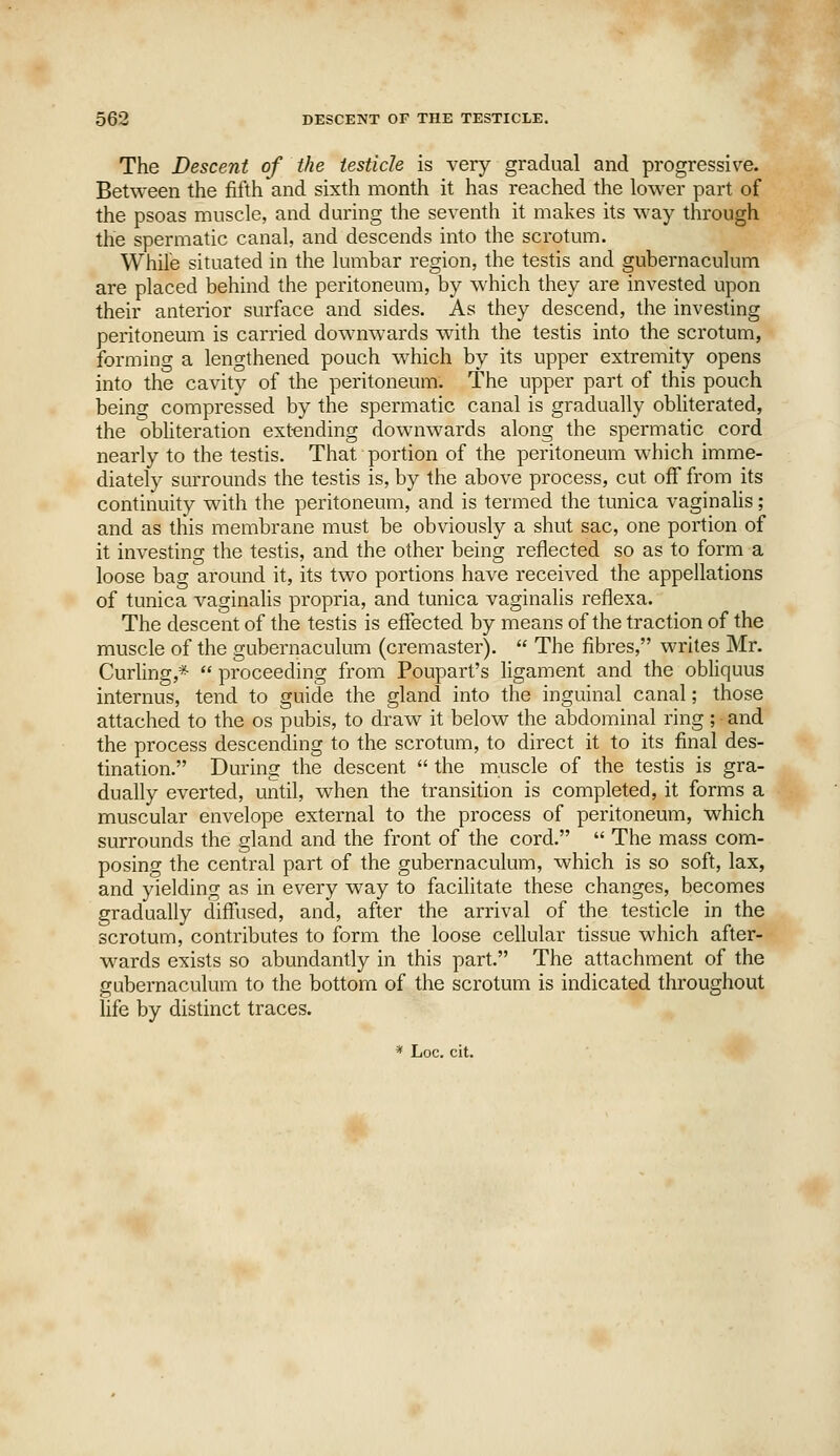 The Descent of the testicle is very gradual and progressive. Between the fifth and sixth month it has reached the lower part of the psoas muscle, and during the seventh it makes its way through the spermatic canal, and descends into the scrotum. While situated in the lumbar region, the testis and gubernaculum are placed behind the peritoneum, by which they are invested upon their anterior surface and sides. As they descend, the investing peritoneum is carried downwards with the testis into the scrotum, forming a lengthened pouch which by its upper extremity opens into the cavity of the peritoneum. The upper part of this pouch being compressed by the spermatic canal is gradually obliterated, the obhteration extending downwards along the spermatic cord nearly to the testis. That portion of the peritoneum which imme- diately surrounds the testis is, by the above process, cut off from its continuity with the peritoneum, and is termed the tunica vaginalis; and as this membrane must be obviously a shut sac, one portion of it investing the testis, and the other being reflected so as to form a loose bag around it, its two portions have received the appellations of tunica vaginalis propria, and tunica vaginalis reflexa. The descent of the testis is effected by means of the traction of the muscle of the gubernaculum (cremaster).  The fibres, writes Mr. Curling,*  proceeding from Poupart's ligament and the obliquus internus, tend to guide the gland into the inguinal canal; those attached to the os pubis, to draw it below the abdominal ring ; and the process descending to the scrotum, to direct it to its final des- tination. During the descent  the muscle of the testis is gra- dually everted, until, when the transition is completed, it forms a muscular envelope external to the process of peritoneum, which surrounds the gland and the front of the cord.  The mass com- posing the central part of the gubernaculum, which is so soft, lax, and yielding as in every way to facilitate these changes, becomes gradually diffused, and, after the arrival of the testicle in the scrotum, contributes to form the loose cellular tissue which after- wards exists so abundantly in this part. The attachment of the gubernaculum to the bottom of the scrotum is indicated throughout life by distinct traces. * Loc. cit.