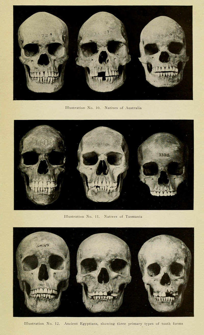 Illustration No. 10. Natives of Australia Illustration No. 11. Natives of Tasmania