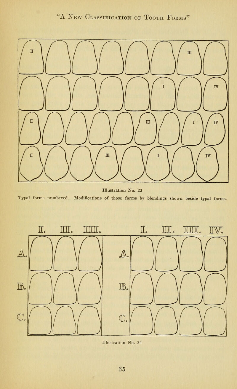 Illustration No. 23 Typal forms numbered. Modifications of those forms by blendings shown beside typal forms. E nr. lo M. nn, w: A< A (D. Illustration No. 24