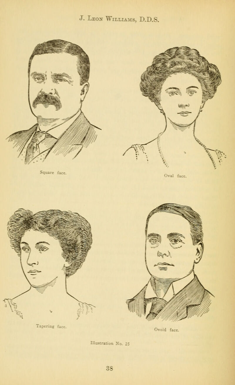 Tapering face. Ovoid face. IDasbation No. 25