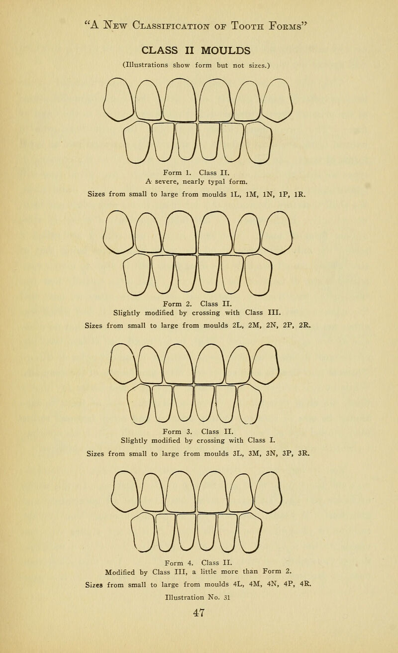 CLASS II MOULDS (Illustrations show form but not sizes.) Form 1. Class II. A severe, nearly typal form. Sizes from small to large from moulds IL, IM, IN, IP, IR. Form 2. Class II. Slightly modified by crossing with Class III. Sizes from small to large from moulds 2L, 2M, 2N, 2P, 2IL Form 3. Class II. Slightly modified by crossing with Class I. Sizes from small to large from moulds 3L, 3M, 3N, 3P, 3R. Form 4. Class II. Modified by Class III, a little more than Form 2. Sizes from small to large from moulds 4L, 4M, 4N, 4P, 4R. Illustration No. 31