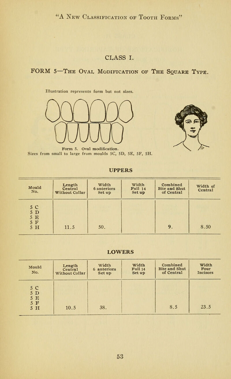 CLASS I. FORM 5—The Oval Modification of The Square Type. Illustration represents form but not sizes. Form 5. Oval modification. Sizes from small to large from moulds 5C, SD, 5E, 5F, 5H. UPPERS I^ength Width Width Combined Width of Central 6 anteriors Full 14 Bite and Shut Without Collar Setup Setup of Central 5 C 5 D 5 E 5 F 5 H 11.5 50. 9. 8.50 LOWERS Mould No. I,ength Central Without Collar Width 6 anteriors Setup Width Full 14 Setup Combined Bite and Shut of Central Width Four Incisors 5 C 5 D 5 E 5 F 5 H 10.5 38. 8.5 23.5