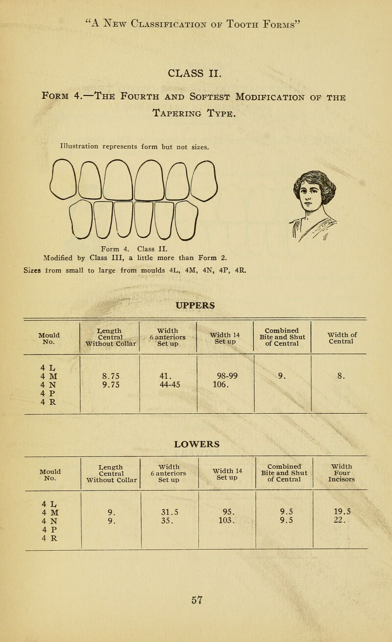 CI.ASS II. Form 4.—The Fourth and Softest Modification of the Tapering Type. Illustration represents form but not sizes. Form 4. Class II. Modified by Class III, a little more than Form 2. Sizes from small to large from moulds 4L, 4M, 4N, 4P, 4R. UPPERS Mould No. I^ength Central Without Collar width 6 anteriors Setup Width 14 Setup Combined Bite and Shut of Central Width of Central 4 Iv 4 M 8.75 41. 98-99 9. 8. 4 N 9.75 44-45 106. 4 P 4 R LOWERS Mould No. Length Central Without Collar width 6 anteriors Setup Width 14 Setup Combined Bite and Shut of Central Width Four Incisors 41. 4 M 9. 31.5 95. 9.5 19.5 4 N 9. 35. 103. 9.5 22. 4 P 4 R