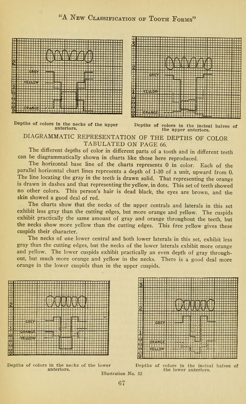 Depths of colors in the necks of the upper anteriors. Depths of colors in the incisal halves of the upper anteriors. DIAGRAMMATIC REPRESENTATION OF THE DEPTHS OF COLOR TABULATED ON PAGE 66. The different depths of color in different parts of a tooth and in different teeth can be diagrammatically shown in charts like those here reproduced. The horizontal base line of the charts represents 0 in color. Each of the parallel horizontal chart lines represents a depth of 1-10 of a unit, upward from 0. The line locating the gray in the teeth is drawn solid. That representing the orange is drawn in dashes and that representing the yellow, in dots. This set of teeth showed no other colors. This person's hair is dead black, the eyes are brown, and the skin showed a good deal of red. The charts show that the necks of the upper centrals and laterals in this set exhibit less gray than the cutting edges, but more orange and yellow. The cuspids exhibit practically the same amount of gray and orange throughout the teeth, but the necks show more yellow than the cutting edges. This free yellow gives these cuspids their character. The necks of one lower central and both lower laterals in this set, exhibit less gray than the cutting edges, but the necks of the lower laterals exhibit more orange and yellow. The lower cuspids exhibit practically an even depth of gray through- out, but much more orange and yellow in the necks. There is a good deal more orange in the lower cuspids than in the upper cuspids. Depths of colors in the necks of the lower Depths of colors in the incisal halves of anteriors. the lower anteriors. Illustration No. 32