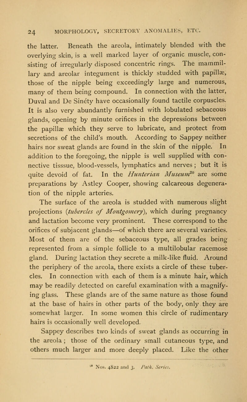 the latter. Beneath the areola, intimately blended with the overlying skin, is a well marked layer of organic muscle, con- sisting of irregularly disposed concentric rings. The mammil- lary and areolar integument is thickly studded with papillae, those of the nipple being exceedingly large and numerous, many of them being compound. In connection with the latter, Duval and De Sinety have occasionally found tactile corpuscles. It is also very abundantly furnished with lobulated sebaceous glands, opening by minute orifices in the depressions between the papillai which they serve to lubricate, and protect from secretions of the child's mouth. According to Sappey neither hairs nor sweat glands are found in the skin of the nipple. In addition to the foregoing, the nipple is well supplied with con- nective tisssue, blood-vessels, lymphatics and nerves ; but it is quite devoid of fat. In the Hunterian Micseun^^ are some preparations by Astley Cooper, showing calcareous degenera- tion of the nipple arteries. The surface of the areola is studded with numerous slight projections {tubercles of Monigoinery), which during pregnancy and lactation become very prominent. These correspond to the orifices of subjacent glands—of which there are several varieties. Most of them are of the sebaceous type, all grades being represented from a simple follicle to a multilobular racemose gland. During lactation they secrete a milk-like fluid. Around the periphery of the areola, there exists a circle of these tuber- cles. In connection with each of them is a minute hair, which may be readily detected on careful examination with a magnify- ing glass. These glands are of the same nature as those found at the base of hairs in other parts of the body, only they are somewhat larger. In some women this circle of rudimentary hairs is occasionally well developed. Sappey describes two kinds of sweat glands as occurring in the areola ; those of the ordinary small cutaneous type, and others much larger and more deeply placed. Like the other -• Nos. 4822 and 3. Path. Series.