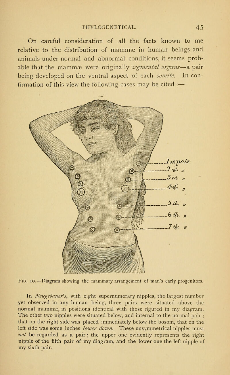 On careful consideration of all the facts known to me relative to the distribution of mammae in human beings and animals under normal and abnormal conditions, it seems prob- able that the mammae were originally segmental organs—a pair being developed on the ventral aspect of each somite. In con- firmation of this view the following cases may be cited :— Fig. io.—Diagram showing the mammary arrangement of man's early progenitors. In Neugebauefs., with eight supernumerary nipples, the largest number yet observed in any human being, three pairs were situated above the normal mammae, in positions identical with those figured in my diagram. The other two nipples were situated below, and internal to the normal pair ; that on the right side was placed immediately below the bosom, that on the left side was some inches lower dowii. These unsymmetrical nipples must not be regarded as a pair ; the upper one evidently represents the right nipple of the fifth pair of my diagram, and the lower one the left nipple of my sixth pair.