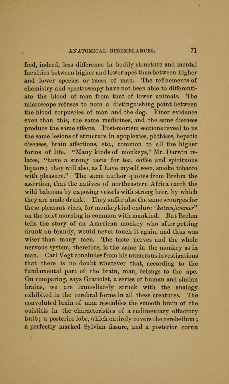 find, indeed, less difference in bodily structure and mental faculties between higher and lower apes than between higher and lower species or races of man. The refinements of chemistry and spectroscopy have not been able to differenti- ate the blood of man from that of lower animals. The microscope refuses to note a distinguishing point between the blood corpuscles of man and the dog. Finer evidence even than this, the same medicines, and the same diseases produce the same effects. Post-mortem sections reveal to us the same lesions of structure in apoplexies, phthises, hepatic diseases, brain affections, etc., common to all the higher forms of life. Many kinds of monkeys, Mr. Darwin re- lates, have a strong taste for tea, coffee and spirituous liquors ; they will also, as I have myself seen, smoke tobacco with pleasure. The same author quotes from Brehm the assertion, that the natives of northeastern Africa catch the wild baboons by exposing vessels with strong beer, by which they are made drunk. They suffer also the same scourges for these pleasant vices, for monkeykind endure katzenjammer on the next morning in common with mankind. But Brehm tells the story of an American monkey who after getting drunk on brandy, would never touch it again, and thus was wiser than many men. The taste nerves and the whole nervous system, therefore, is the same in the monkey as in man. Carl Vogt concludes from his numerous investigations that there is no doubt whatever that, according to the fundamental part of the brain, man, belongs to the ape. On comparing, says Gratiolet, a series of human and simian brains, we are immediately struck with the analogy exhibited in the cerebral forms in all these creatures. The convoluted brain of man resembles the smooth brain of the ouistitis in the characteristics of a rudimentary olfactory bulb; a posterior lobe, which entirely covers the cerebellum ; a perfectly marked Sylvian fissure, and a posterior cornu