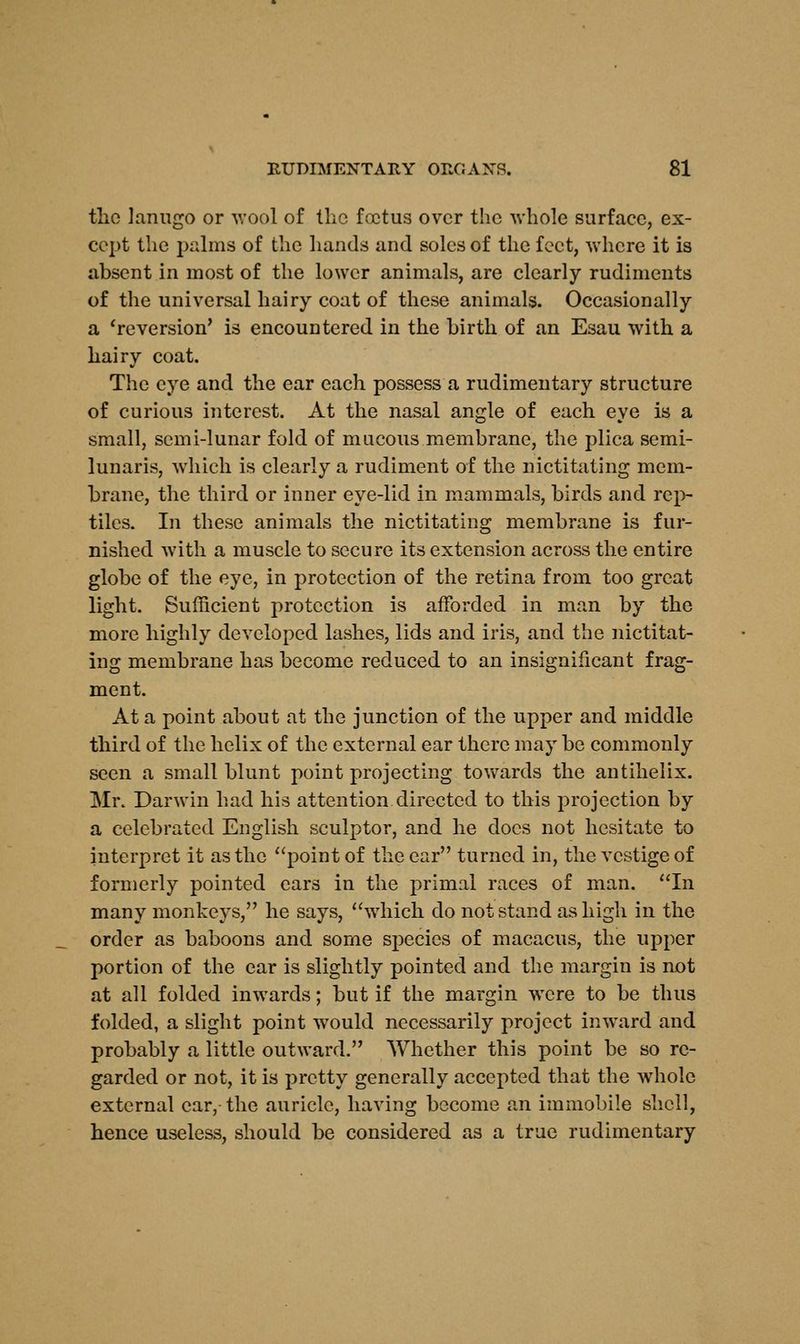 tlio lanugo or wool of the foetus over the whole surface, ex- cept the palms of the hands and soles of the feet, where it is absent in most of the lower animals, are clearly rudiments of the universal hairy coat of these animals. Occasionally a 'reversion' is encountered in the birth of an Esau with a hairy coat. The eye and the ear each possess a rudimentary structure of curious interest. At the nasal angle of each eye is a small, semi-lunar fold of mucous membrane, the plica semi- lunaris, which is clearly a rudiment of the nictitating mem- brane, the third or inner eye-lid in mammals, birds and rep- tiles. In these animals the nictitating membrane is fur- nished with a muscle to secure its extension across the entire globe of the eye, in protection of the retina from too great light. Sufficient protection is afforded in man by the more highly developed lashes, lids and iris, and the nictitat- ing membrane has become reduced to an insignificant frag- ment. At a point about at the junction of the upper and middle third of the helix of the external ear there may be commonly seen a small blunt point projecting towards the antihelix. Mr. Darwin had his attention directed to this projection by a celebrated English sculptor, and he docs not hesitate to interpret it as the point of the ear turned in, the vestige of formerly pointed ears in the primal races of man. In many monkeys, he says, which do not stand as high in the order as baboons and some species of macacus, the upper portion of the ear is slightly pointed and the margin is not at all folded inwards; but if the margin were to be thus folded, a slight point would necessarily project inward and probably a little outward. Whether this point be so re- garded or not, it is pretty generally accepted that the whole external ear, the auricle, having become an immobile shell, hence useless, should be considered as a true rudimentary