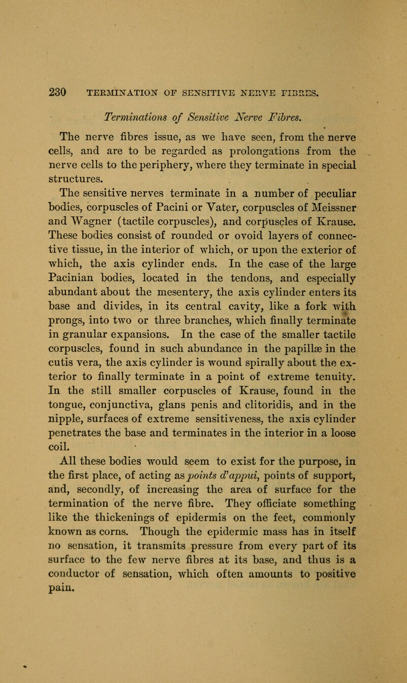 Terminations of Sensitive Nerve Fibres. The nerve fibres issue, as we have seen, from the nerve cells, and are to be regarded as prolongations from the nerve cells to the periphery, where they terminate in special structures. The sensitive nerves terminate in a number of peculiar bodies, corpuscles of Pacini or Vater, corpuscles of Meissner and Wagner (tactile corpuscles), and corpuscles of Krause. These bodies consist of rounded or ovoid layers of connec- tive tissue, in the interior of which, or upon the exterior of which, the axis cylinder ends. In the case of the large Pacinian bodies, located in the tendons, and especially abundant about the mesentery, the axis cylinder enters its base and divides, in its central cavity, like a fork with prongs, into two or three branches, which finally terminate in granular expansions. In the case of the smaller tactile corpuscles, found in such abundance in the papillae in the cutis vera, the axis cylinder is wound spirally about the ex- terior to finally terminate in a point of extreme tenuity. In the still smaller corpuscles of Krause, found in the tongue, conjunctiva, glans penis and clitoridis, and in the nipple, surfaces of extreme sensitiveness, the axis cylinder penetrates the base and terminates in the interior in a loose coil. All these bodies would seem to exist for the purpose, in the first place, of acting as points oVappui, points of support, and, secondly, of increasing the area of surface for the termination of the nerve fibre. They officiate something like the thickenings of epidermis on the feet, commonly known as corns. Though the epidermic mass has in itself no sensation, it transmits pressure from every part of its surface to the few nerve fibres at its base, and thus is a conductor of sensation, which often amounts to positive pain.