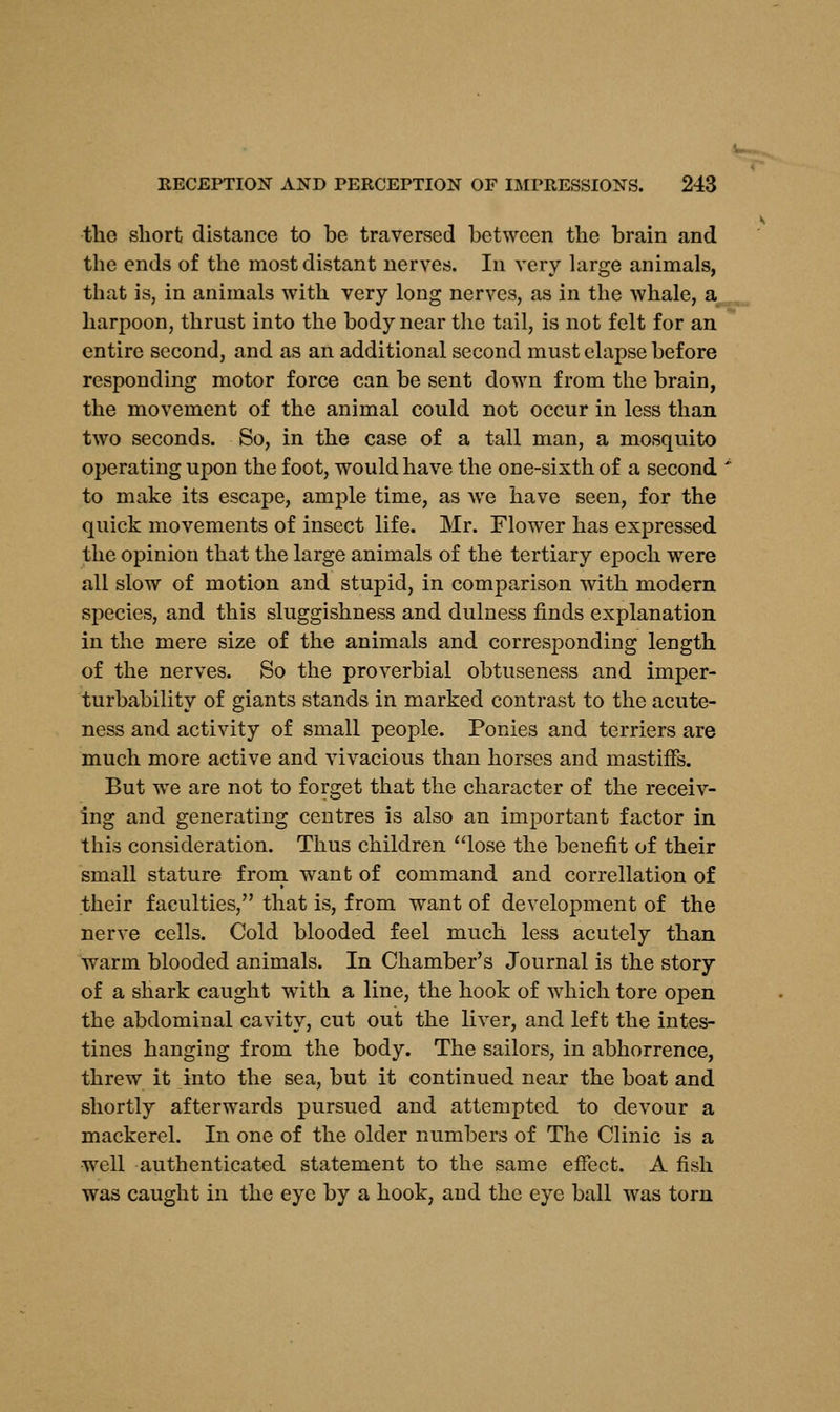 the short distance to be traversed between the brain and the ends of the most distant nerves. In very large animals, that is, in animals with very long nerves, as in the whale, a harpoon, thrust into the body near the tail, is not felt for an entire second, and as an additional second must elapse before responding motor force can be sent down from the brain, the movement of the animal could not occur in less than two seconds. So, in the case of a tall man, a mosquito operating upon the foot, would have the one-sixth of a second to make its escape, ample time, as we have seen, for the quick movements of insect life. Mr. Flower has expressed the opinion that the large animals of the tertiary epoch were all slow of motion and stupid, in comparison with modern species, and this sluggishness and dulness finds explanation in the mere size of the animals and corresponding length of the nerves. So the proverbial obtuseness and imper- turbability of giants stands in marked contrast to the acute- ness and activity of small people. Ponies and terriers are much more active and vivacious than horses and mastiffs. But we are not to forget that the character of the receiv- ing and generating centres is also an important factor in this consideration. Thus children lose the benefit of their small stature from want of command and correlation of their faculties, that is, from want of development of the nerve cells. Cold blooded feel much less acutely than warm blooded animals. In Chamber's Journal is the story of a shark caught with a line, the hook of which tore open the abdominal cavity, cut out the liver, and left the intes- tines hanging from the body. The sailors, in abhorrence, threw it into the sea, but it continued near the boat and shortly afterwards pursued and attempted to devour a mackerel. In one of the older numbers of The Clinic is a well authenticated statement to the same effect. A fish was caught in the eye by a hook, and the eye ball was torn