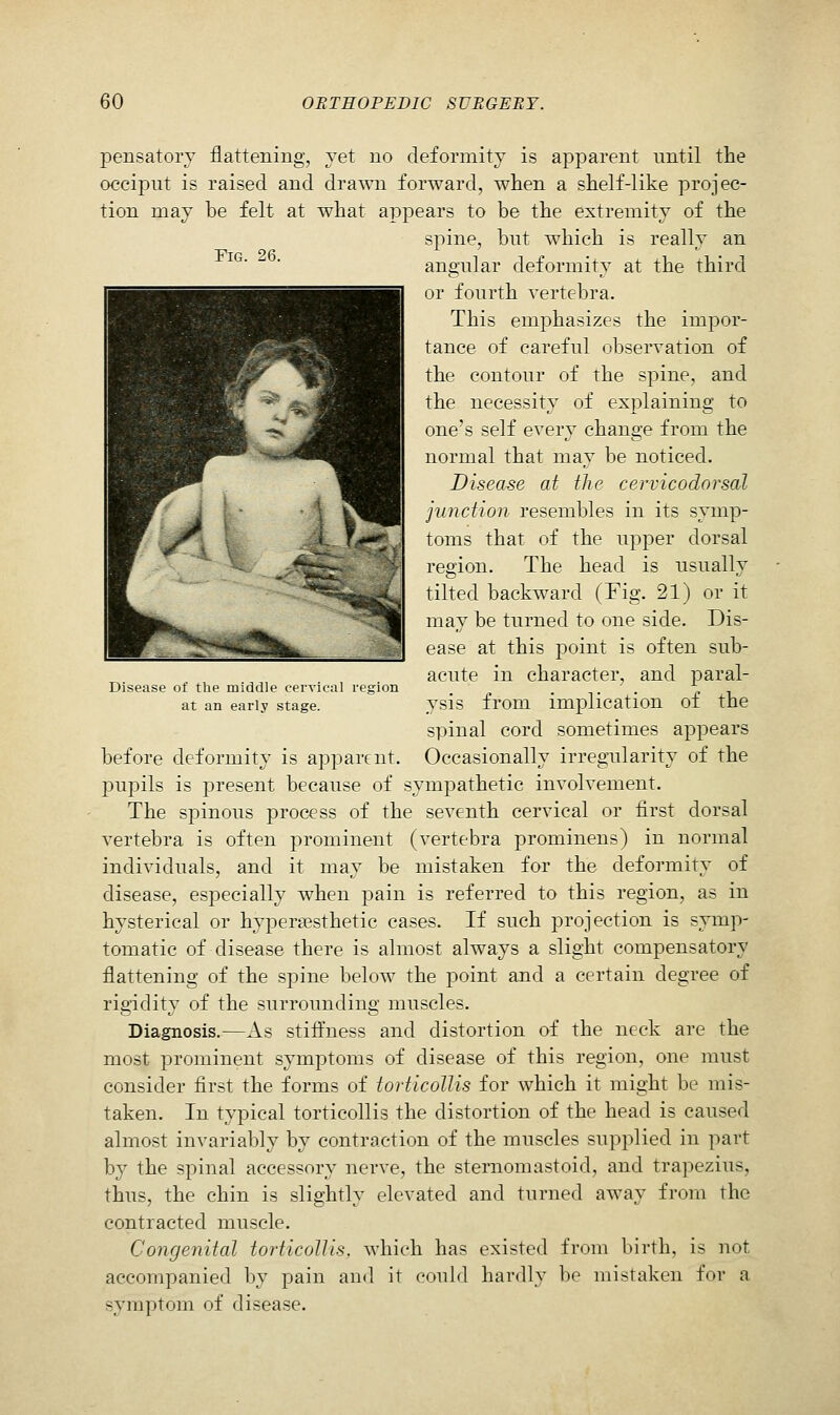 Fig. 26. Disease of the middle cervical region at an early stage. pensatory flattening, yet no deformity is apparent until the occiput is raised and drawn forward, when a shelf-like projec- tion may be felt at what appears to be the extremity of the spine, but which is really an angular deformity at the third or fourth vertebra. This emphasizes the impor- tance of careful observation of the contour of the spine, and the necessity of explaining to one's self every change from the normal that may be noticed. Disease at ilie cervicodnrsal junction resembles in its symp- toms that of the upper dorsal region. The head is usually tilted backward (Fig. 21) or it may be turned to one side. Dis- ease at this point is often sub- acute in character, and paral- ysis from implication of the spinal cord sometimes appears before deformity is apparent. Occasionally irregularity of the pupils is present because of sympathetic involvement. The spinous process of the seventh cervical or first dorsal vertebra is often prominent (vertebra prominens) in normal individuals, and it may be mistaken for the deformity of disease, especially when pain is referred to this region, as in hysterical or hypersesthetic cases. If such projection is symp- tomatic of disease there is almost always a slight compensatory flattening of the spine below the point and a certain degree of rigidity of the surrounding muscles. Diagnosis.—As stiffness and distortion of the neck are the most prominent symptoms of disease of this region, one must consider first the forms of torticollis for which it might bo mis- taken. In typical torticollis the distortion of the head is caused almost invariably by contraction of the muscles supplied in part by the spinal accessory nerve, the sternomastoid, and trajiezius, thus, the chin is slightly elevated and turned away from the contracted muscle. Congenital torticollis, which has existed from birth, is not accompanied by pain and it eon Id hardly be mistaken for a symptom of disease.