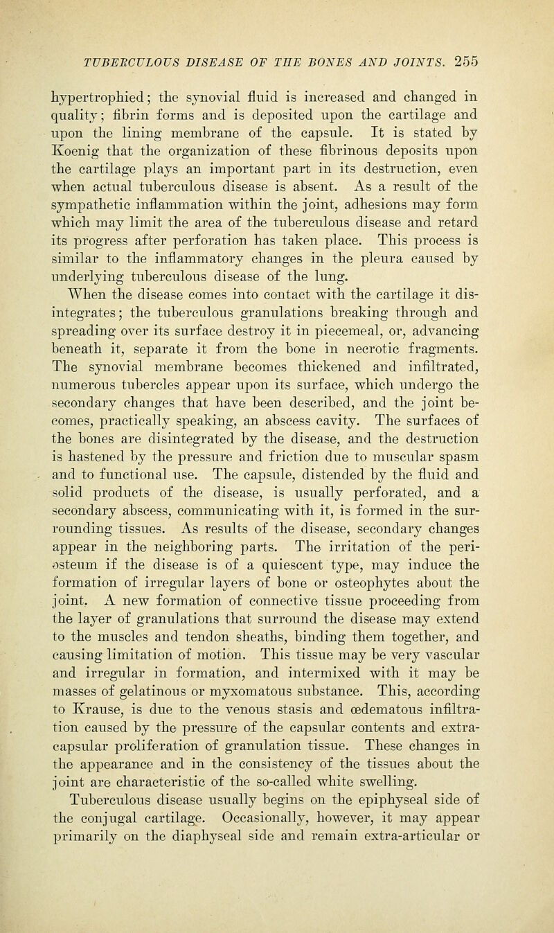 hypertrophied; the sjTiovial fluid is increased and changed in quality; fibrin forms and is deposited upon the cartilage and upon the lining membrane of the capsule. It is stated by Koenig that the organization of these fibrinous deposits upon the cartilage plays an important part in its destruction, even when actual tuberculous disease is absent. As a result of the sympathetic infiammation within the joint, adhesions may form which may limit the area of the tuberculous disease and retard its progress after perforation has taken place. This process is similar to the inflammatory changes in the pleura caused by underlying tuberculous disease of the lung. When the disease comes into contact with the cartilage it dis- integrates ; the tuberculous granulations breaking through and spreading over its surface destroy it in piecemeal, or, advancing beneath it, separate it from the bone in necrotic fragments. The synovial membrane becomes thickened and infiltrated, numerous tubercles appear upon its surface, which undergo the secondary changes that have been described, and the joint be- comes, practically speaking, an abscess cavity. The surfaces of the bones are disintegrated by the disease, and the destruction is hastened by the pressure and friction due to muscular spasm and to functional use. The capsule, distended by the fiuid and solid products of the disease, is usually perforated, and a secondary abscess, communicating with it, is formed in the sur- rounding tissues. As results of the disease, secondary changes appear in the neighboring parts. The irritation of the peri- osteum if the disease is of a quiescent type, may induce the formation of irregular layers of bone or osteophytes about the joint, A new formation of connective tissue proceeding from the layer of granulations that surround the disease may extend to the muscles and tendon sheaths, binding them together, and causing limitation of motion. This tissue may be very vascular and irregular in formation, and intermixed with it may be masses of gelatinous or myxomatous substance. This, according to Krause, is due to the venous stasis and (Edematous infiltra- tion caused by the pressure of the capsular contents and extra- capsular proliferation of granulation tissue. These changes in the appearance and in the consistency of the tissues about the joint are characteristic of the so-called white swelling. Tuberculous disease usually begins on the epiphyseal side of the conjugal cartilage. Occasionally, however, it may appear primarily on the diaphyseal side and remain extra-articular or