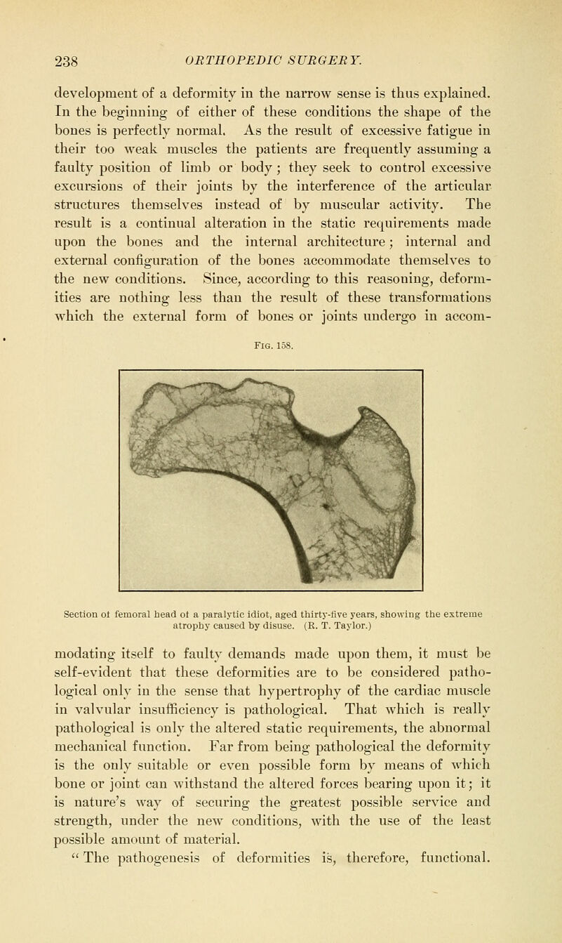 development of a deformity in the narrow sense is thus explained. In the beginning of either of these conditions the shape of the bones is perfectly normal. As the result of excessive fatigue in their too weak muscles the patients are frequently assuming a faulty position of limb or body ; they seek to control excessive excursions of their joints by the interference of the articular structures themselves instead of by muscular activity. The result is a continual alteration in the static requirements made upon the bones and the internal architecture; internal and external configuration of the bones accommodate themselves to the new conditions. Since, according to this reasoning, deform- ities are nothing less than the result of these transformations which the external form of bones or joints undergo in accom- FiG. 158. Section ot femoral head ot a paralytic idiot, aged thirty-five years, showing the extreme atrophy caused by disuse. (R. T. Taylor.) modating itself to faulty demands made upon them, it must be self-evident that these deformities are to be considered patho- logical only in the sense that hypertrophy of the cardiac muscle in valvular insufficiency is pathological. That which is really pathological is only the altered static requirements, the abnormal mechanical function. Far from being pathological the deformity is the only suitable or even possible form by means of which bone or joint can withstand the altered forces bearing upon it; it is nature's way of securing the greatest possible service and strength, under the new conditions, with the use of the least possible amount of material.  The pathogenesis of deformities is, therefore, functional.