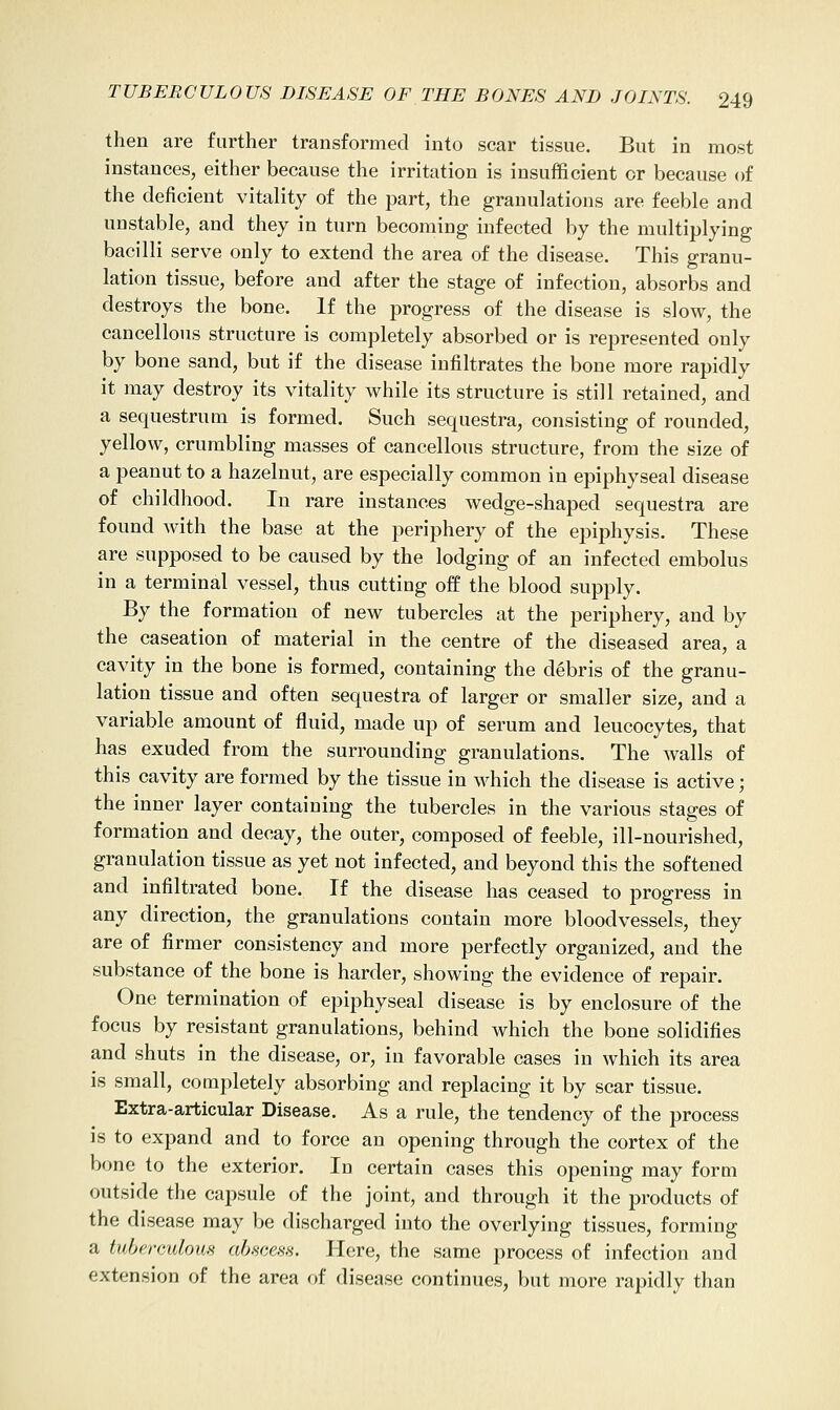 then are further transformed into scar tissue. But in most instances, either because the irritation is insufficient or because of the deficient vitality of the jsart, the granulations are feeble and unstable, and they in turn becoming infected by the multiplying bacilli serve only to extend the area of the disease. This granu- lation tissue, before and after the stage of infection, absorbs and destroys the bone. If the progress of the disease is slow, the cancellous structure is completely absorbed or is represented only by bone sand, but if the disease infiltrates the bone more rapidly it may destroy its vitality while its structure is still retained, and a sequestrum is formed. Such sequestra, consisting of rounded, yellow, crumbling masses of cancellous structure, from the size of a peanut to a hazelnut, are especially common in epiphyseal disease of childhood. In rare instances wedge-shaped sequestra are found with the base at the periphery of the epiphysis. These are supposed to be caused by the lodging of an infected embolus in a terminal vessel, thus cutting off the blood supply. By the formation of new tubercles at the periphery, and by the caseation of material in the centre of the diseased area, a cavity in the bone is formed, containing the debris of the granu- lation tissue and often sequestra of larger or smaller size, and a variable amount of fluid, made up of serum and leucocytes, that has exuded from the surrounding granulations. The walls of this cavity are formed by the tissue in which the disease is active; the inner layer containing the tubercles in the various stages of formation and decay, the outer, composed of feeble, ill-nourished, granulation tissue as yet not infected, and beyond this the softened and infiltrated bone. If the disease has ceased to progress in any direction, the granulations contain more bloodvessels, they are of firmer consistency and more perfectly organized, and the substance of the bone is harder, showing the evidence of repair. One termination of epiphyseal disease is by enclosure of the focus by resistant granulations, behind which the bone solidifies and shuts in the disease, or, in favorable cases in which its area is small, completely absorbing and replacing it by scar tissue. Extra-articular Disease. As a rule, the tendency of the process is to expand and to force an opening through the cortex of the bone to the exterior. In certain cases this opening may form outside the capsule of the joint, and through it the products of the disease may be discharged into the overlying tissues, forming a tuberculous abscess. Here, the same process of infection and extension of the area of disease continues, but more rapidly than