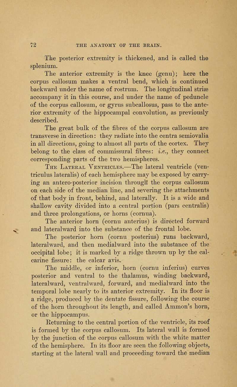 The posterior extremity is thickened, and is called the splenium. The anterior extremity is the knee (genu); here the corpus callosum makes a ventral bend, which is continued backward under the name of rostrum. The longitudinal striae accompany it in this course, and under the name of peduncle of the corpus callosum, or gyrus subcallosus, pass to the ante- rior extremity of the hippocampal convolution, as previously described. The great bulk of the fibres of the corpus callosum are transverse in direction: they radiate into the centra semiovalia in all directions, going to almost all parts of the cortex. They belong to the class of commissural fibres: i.e., they connect corresponding parts of the two hemispheres. The Lateral Ventricles.—The lateral ventricle (ven- triculus lateralis) of each hemisphere may be, exposed by carry- ing an antero-posterior incision through the corpus callosum on each side of the median line, and severing the attachments of that body in front, behind, and laterally. It is a wide and shallow cavity divided into a central portion (pars centralis) and three prolongations, or horns (cornua). The anterior horn (cornu anterius) is directed forward and lateralward into the substance of the frontal lobe. The posterior horn (cornu posterius) runs backward, lateralward, and then medialward into the substance of the occipital lobe; it is marked by a ridge thrown up by the cal- carine fissure: the calcar avis. The middle, or inferior, horn (cornu inferius) curves posterior and ventral to the thalamus, winding backward, lateralward, ventralward, forward, and medialward into the temporal lobe nearly to its anterior extremity. In its floor is a ridge, produced by the dentate fissure, following the course of the horn throughout its length, and called Ammon's horn, or the hippocampiis. / Keturning to the central portion of the ventricle, its roof is formed by the corpus callosum. Its lateral wall is formed by the junction of the corpus callosum with the white matter of the hemisphere. In its floor are seen the following objects, starting at the lateral wall and proceeding toward the median