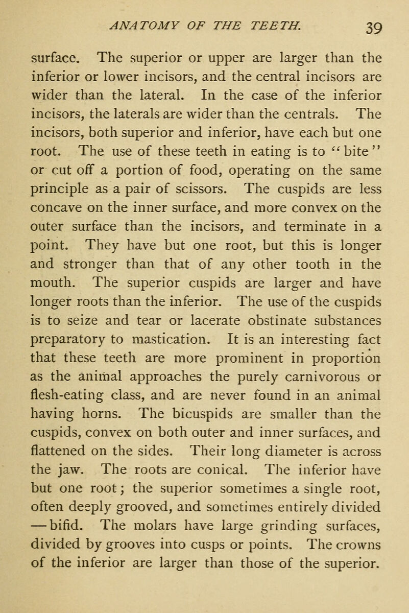 surface. The superior or upper are larger than the inferior or lower incisors, and the central incisors are wider than the lateral. In the case of the inferior incisors, the laterals are wider than the centrals. The incisors, both superior and inferior, have each but one root. The use of these teeth in eating is to '' bite  or cut off a portion of food, operating on the same principle as a pair of scissors. The cuspids are less concave on the inner surface, and more conv^ex on the outer surface than the incisors, and terminate in a point. They have but one root, but this is longer and stronger than that of any other tooth in the mouth. The superior cuspids are larger and have longer roots than the inferior. The use of the cuspids is to seize and tear or lacerate obstinate substances preparatory to mastication. It is an interesting fact that these teeth are more prominent in proportion as the animal approaches the purely carnivorous or flesh-eating class, and are never found in an animal having horns. The bicuspids are smaller than the cuspids, convex on both outer and inner surfaces, and flattened on the sides. Their long diameter is across the jaw. The roots are conical. Tlie inferior have but one root; the superior sometimes a single root, often deeply grooved, and sometimes entirely divided — bifid. The molars have large grinding surfaces, divided by grooves into cusps or points. The crowns of the inferior are larger than those of the superior.