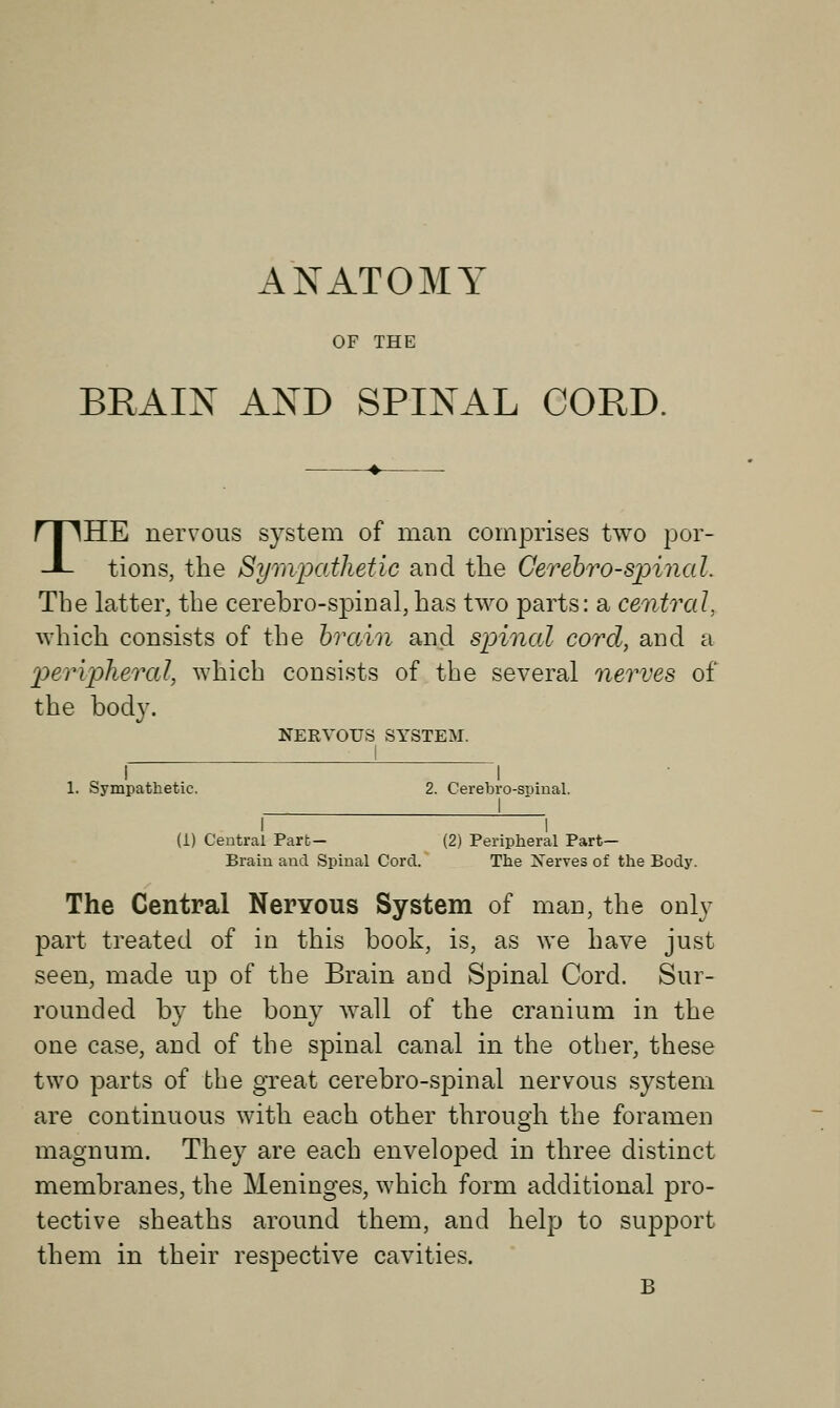 ANATOMY OF THE BRAIN AND SPINAL CORD. THE nervous system of man comprises two por- tions, the Sympathetic and the Cerebrospinal, The latter, the cerebro-spinal,has two parts: a central, which consists of the brain and spinal cord, and a peripheral, which consists of the several nerves of the body. NERVOUS SYSTEM. 1. Sympathetic. 2. Cerebro-spinal. I I I (i) Central Part- (2) Peripheral Part- Brain and Spinal Cord. The Nerves of the Body. The Central Nervous System of man, the only part treated of in this hook, is, as we have just seen, made up of the Brain and Spinal Cord. Sur- rounded by the bony wall of the cranium in the one case, and of the spinal canal in the other, these two parts of the great cerebro-spinal nervous system are continuous with each other through the foramen magnum. They are each enveloped in three distinct membranes, the Meninges, which form additional pro- tective sheaths around them, and help to support them in their respective cavities. B