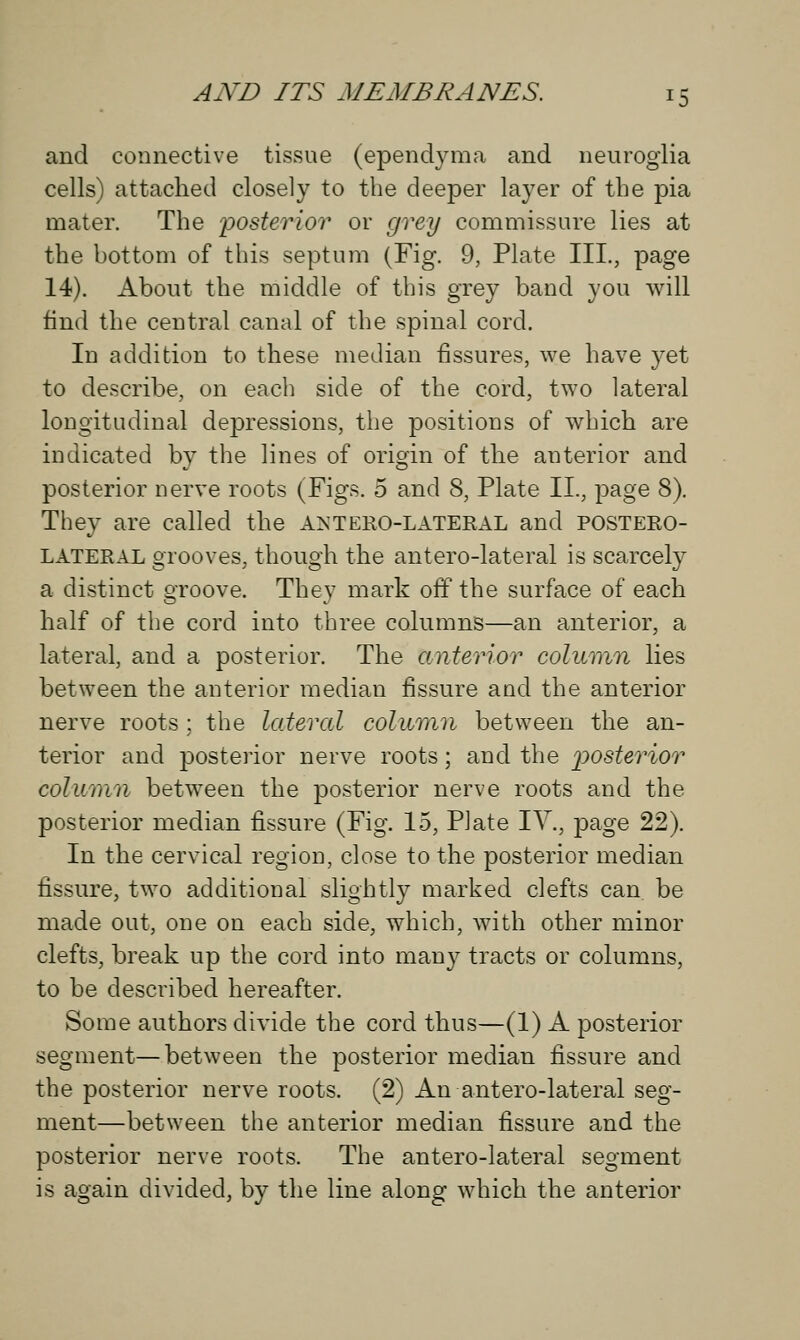 and connective tissue (ependyma and neuroglia cells) attached closely to the deeper layer of the pia mater. The 'posterior or grey commissure lies at the bottom of this septum (Fig. 9, Plate III., page 14). About the middle of this grey band you will find the central canal of the spinal cord. In addition to these median fissures, we have yet to describe, on each side of the cord, two lateral longitudinal depressions, the positions of which are indicated by the lines of origin of the anterior and posterior nerve roots (Figs. 5 and 8, Plate II., page 8). They are called the anterolateral and postero- lateral grooves, though the antero-lateral is scarcely a distinct groove. They mark off the surface of each half of the cord into three columns—an anterior, a lateral, and a posterior. The anterior column lies between the anterior median fissure and the anterior nerve roots; the lateral column between the an- terior and posterior nerve roots; and the posterior column between the posterior nerve roots and the posterior median fissure (Fig. 15, Plate IV., page 22). In the cervical region, close to the posterior median fissure, two additional slightly marked clefts can be made out, one on each side, which, with other minor clefts, break up the cord into many tracts or columns, to be described hereafter. Some authors divide the cord thus—(1) A posterior segment—between the posterior median fissure and the posterior nerve roots. (2) An antero-lateral seg- ment—between the anterior median fissure and the posterior nerve roots. The antero-lateral segment is again divided, by the line along which the anterior